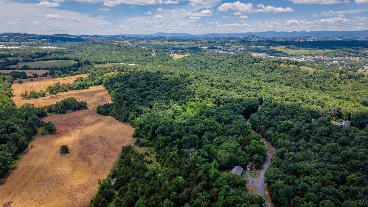 926 TRINITY CHURCH RD, ROCKINGHAM, Virginia 22802, 4 Bedrooms Bedrooms, ,3 BathroomsBathrooms,Residential,926 TRINITY CHURCH RD,678725 MLS # 678725