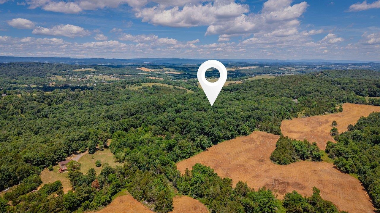 926 TRINITY CHURCH RD, ROCKINGHAM, Virginia 22802, 4 Bedrooms Bedrooms, ,3 BathroomsBathrooms,Residential,926 TRINITY CHURCH RD,678725 MLS # 678725