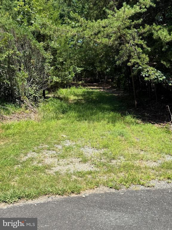 MADELINE LANE, MINERAL, Virginia 23117, ,Land,MADELINE LANE,VALA2010142 MLS # VALA2010142