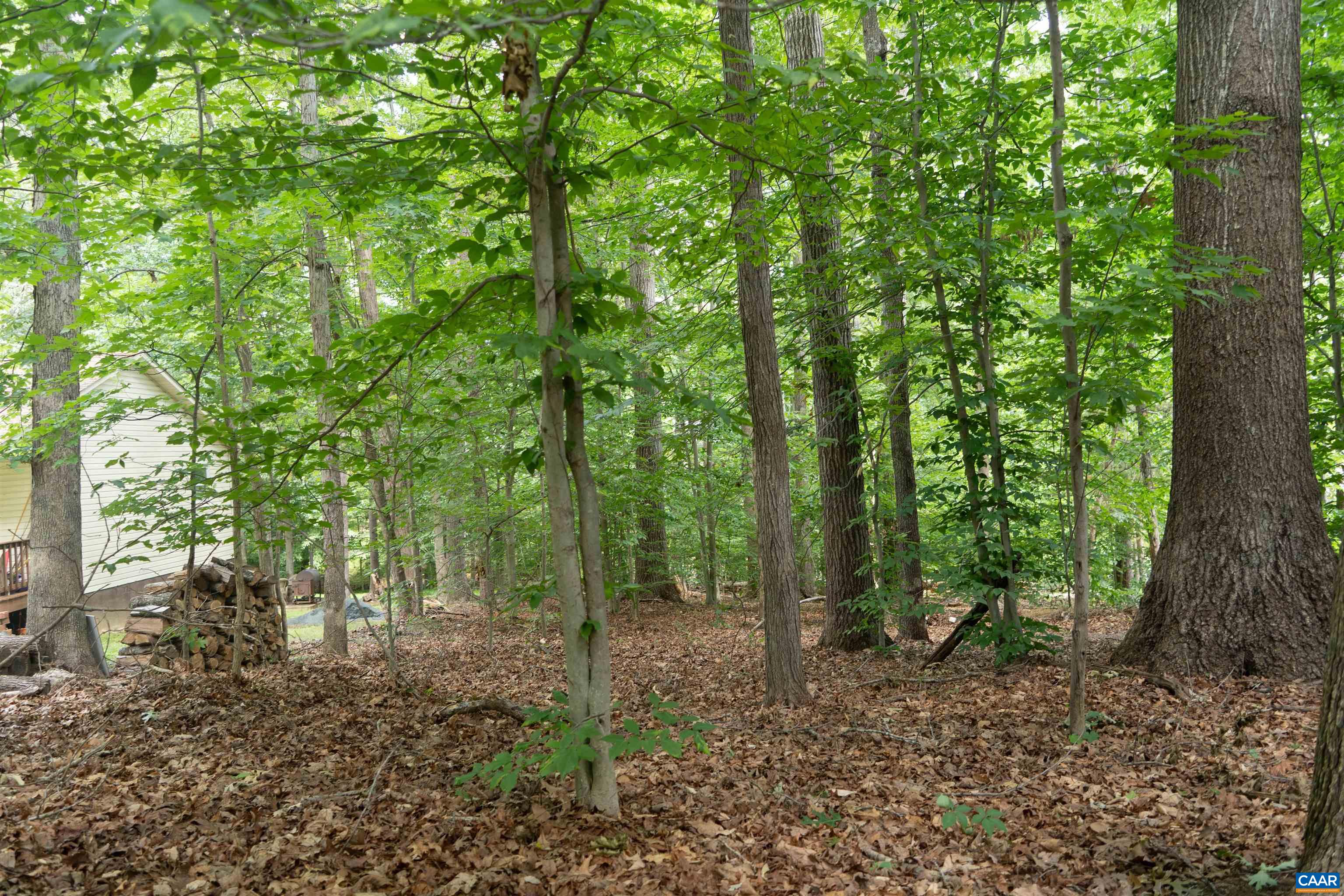 Mature trees around the property.