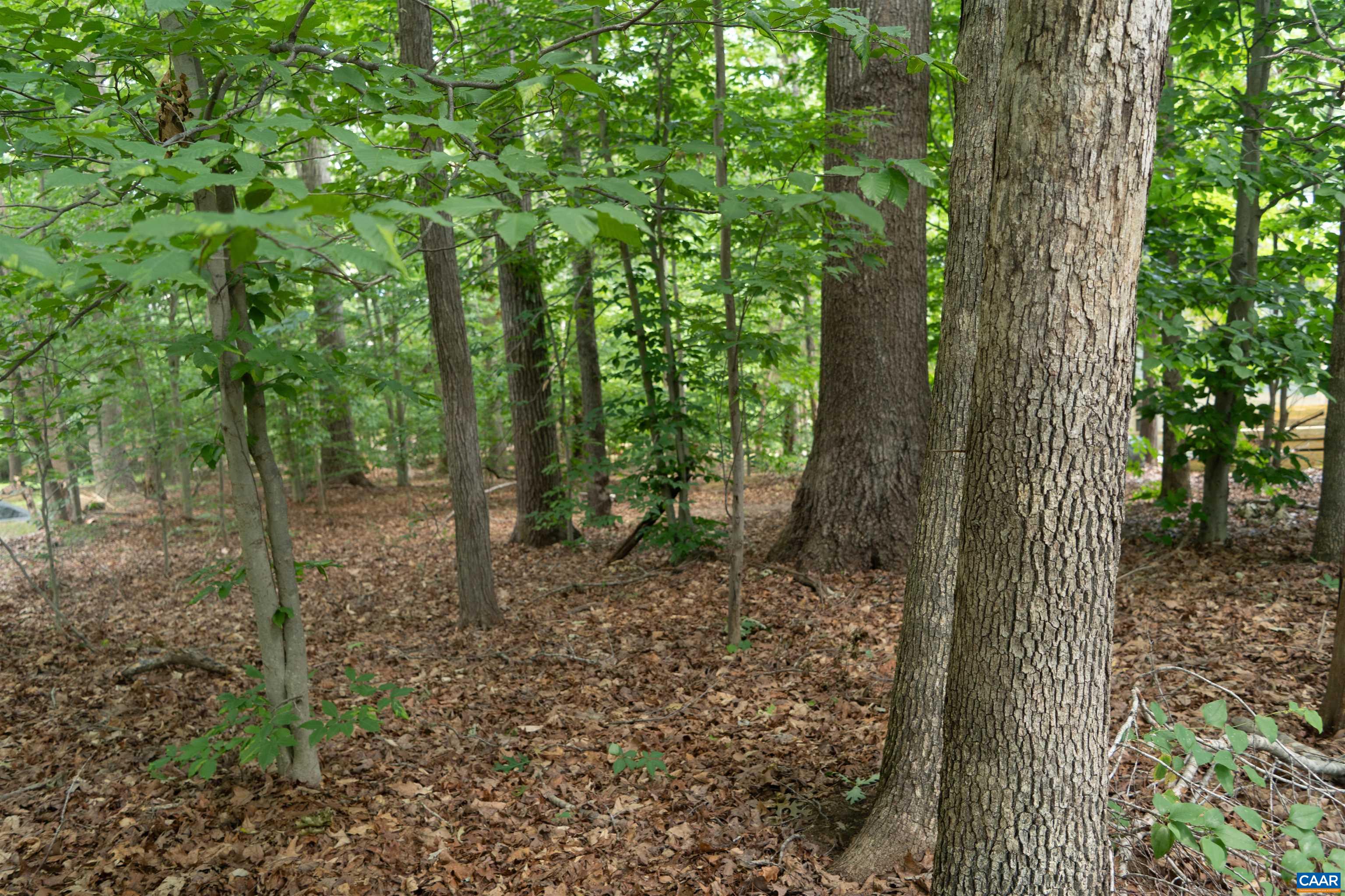 View towards the back of the lot.