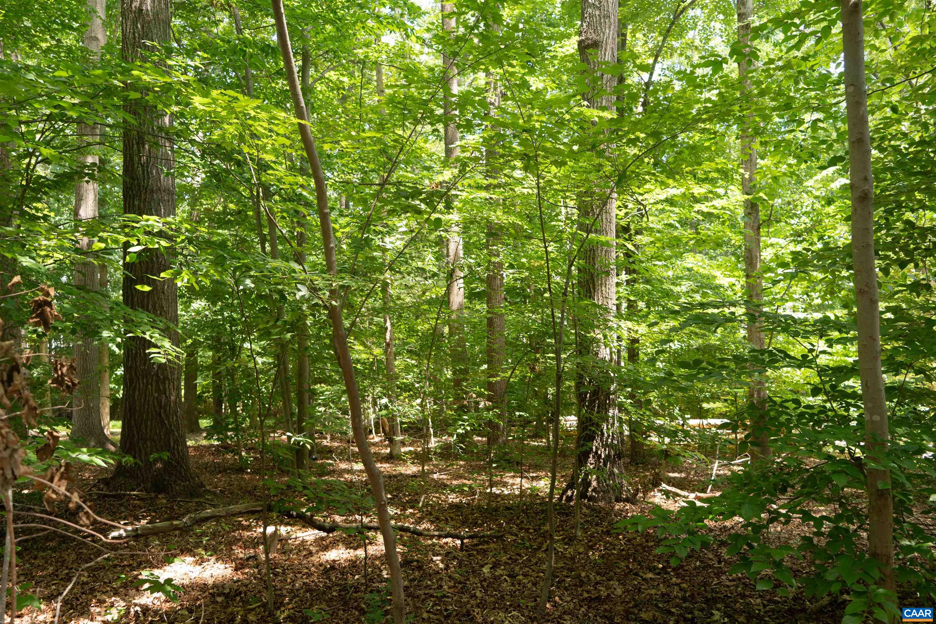 Perfect for creating a lake getaway or year-round lake living.
