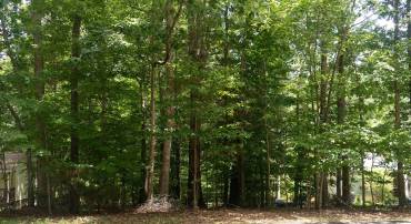 Welcome to 0 Bolling Circle, a .34 acre plot of land ready for your Lake Monticello home!