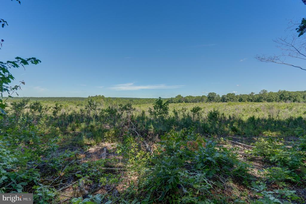 4319 INDIAN CREEK RD, MINERAL, Virginia 23117, 3 Bedrooms Bedrooms, ,2 BathroomsBathrooms,Residential,4319 INDIAN CREEK RD,VALA2010112 MLS # VALA2010112