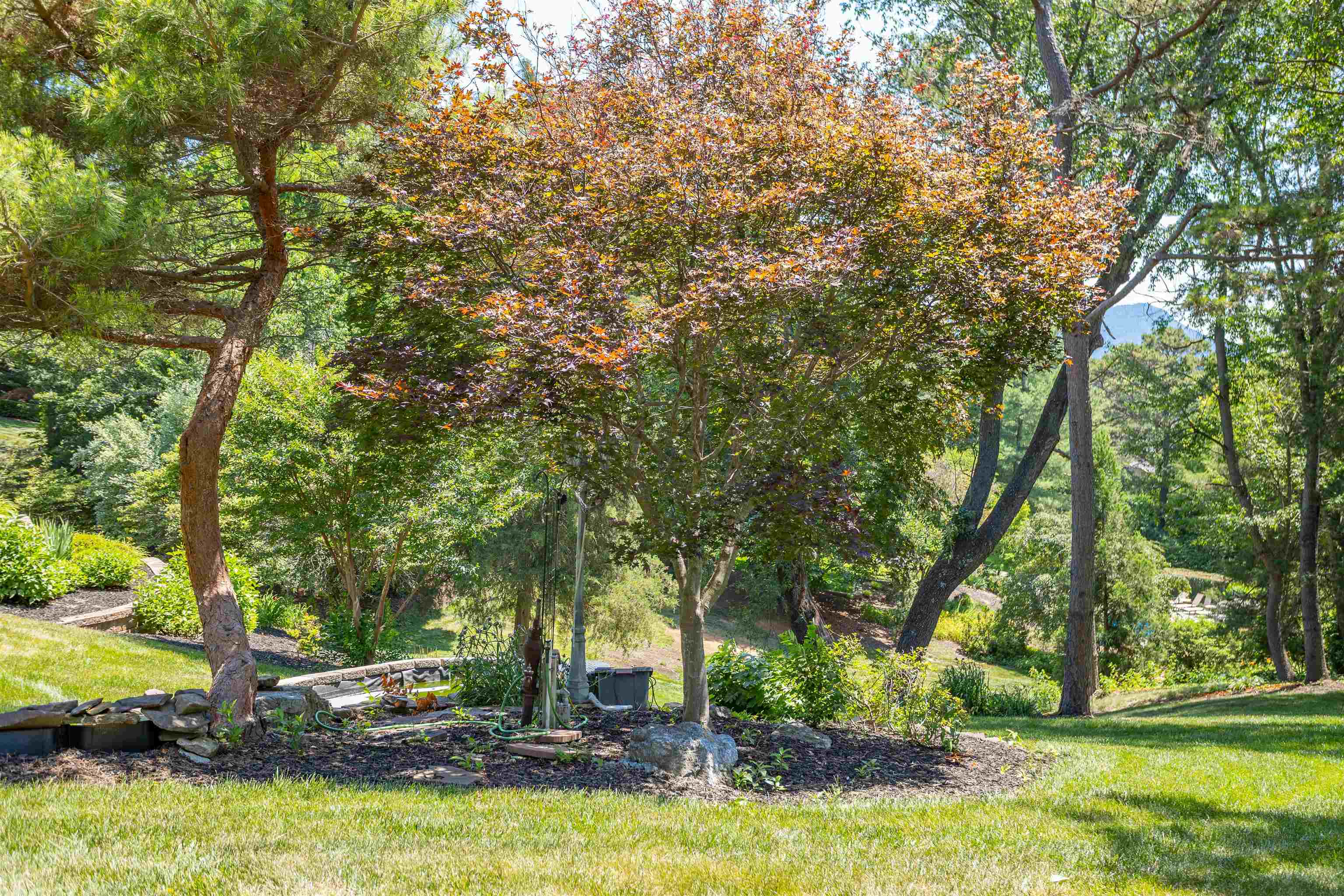 1530 BLUEWATER RD, ROCKINGHAM, Virginia 22801, 5 Bedrooms Bedrooms, ,4 BathroomsBathrooms,Residential,1530 BLUEWATER RD,678909 MLS # 678909