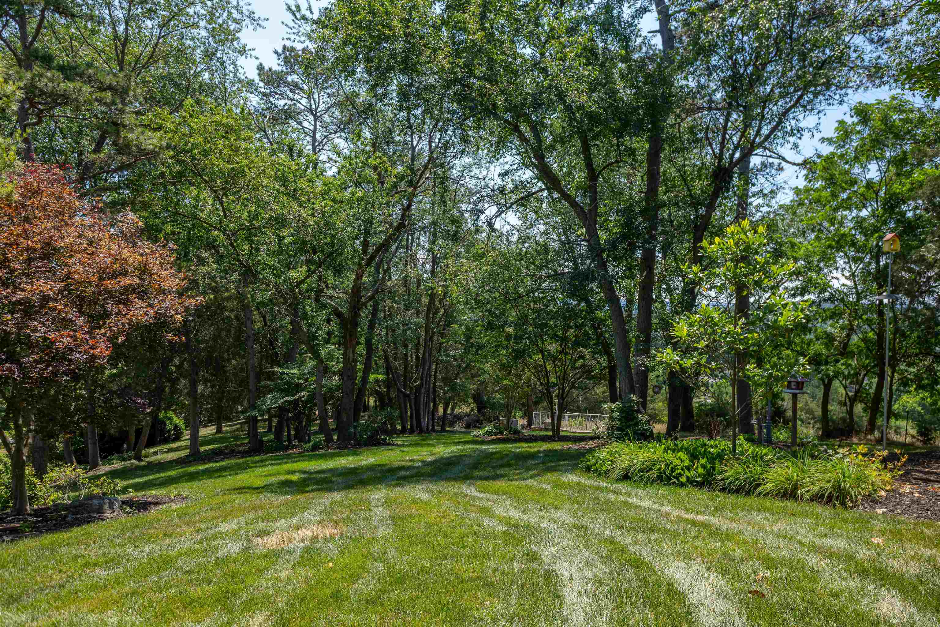 1530 BLUEWATER RD, ROCKINGHAM, Virginia 22801, 5 Bedrooms Bedrooms, ,4 BathroomsBathrooms,Residential,1530 BLUEWATER RD,678909 MLS # 678909