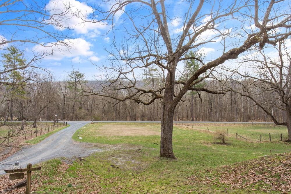 from house looking to Hopkins Gap Rd