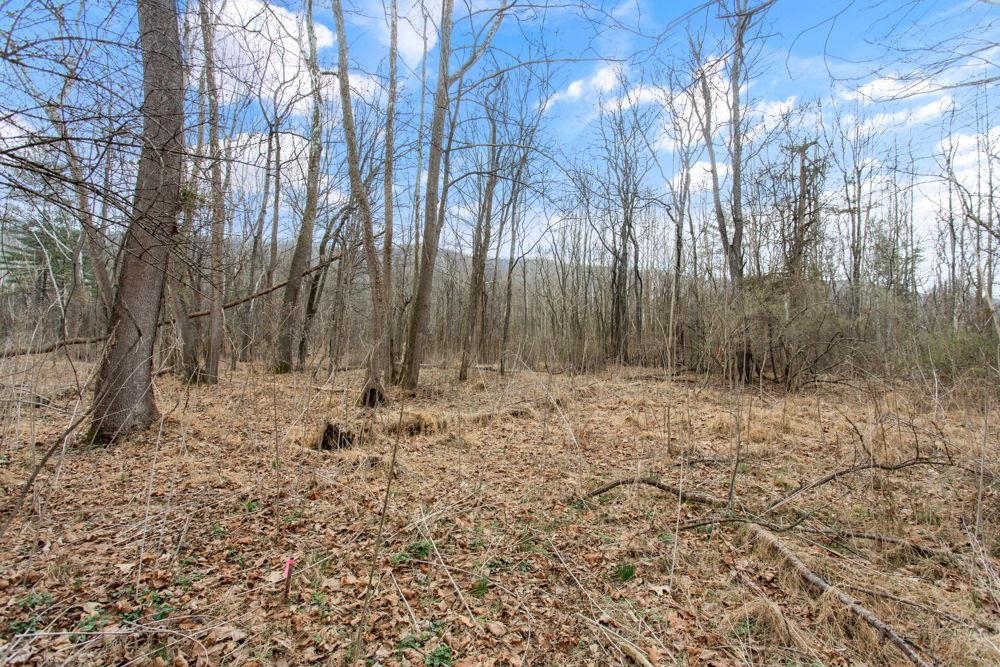and Hopkins Gap Rd bordering river and national forest.