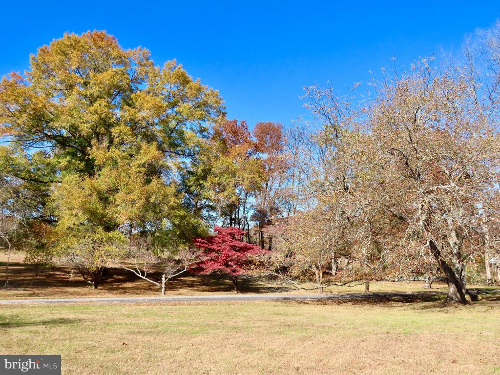 419 RUDASILL MILL RD, WOODVILLE, Virginia 22749, 2 Bedrooms Bedrooms, ,3 BathroomsBathrooms,Residential,419 RUDASILL MILL RD,VARP2002540 MLS # VARP2002540