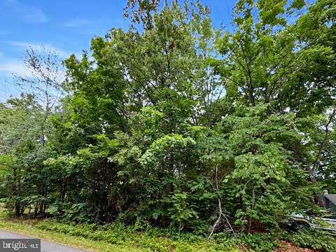 604 YORKTOWN BLVD, LOCUST GROVE, Virginia 22508, ,Land,604 YORKTOWN BLVD,VAOR2014578 MLS # VAOR2014578
