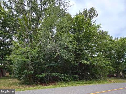 604 YORKTOWN BLVD, LOCUST GROVE, Virginia 22508, ,Land,604 YORKTOWN BLVD,VAOR2014578 MLS # VAOR2014578