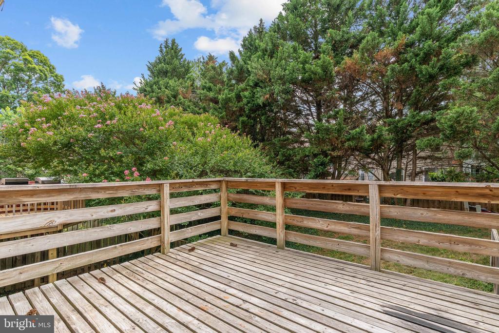 10740 BRICE CT, FREDERICKSBURG, Virginia 22407, 4 Bedrooms Bedrooms, ,3 BathroomsBathrooms,Residential,BALLANTRAYE,10740 BRICE CT,VASP2043262 MLS # VASP2043262