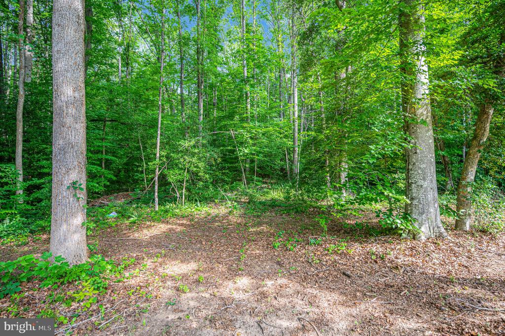 7324 RED FEATHER LN, SPOTSYLVANIA, Virginia 22551, 4 Bedrooms Bedrooms, ,2 BathroomsBathrooms,Residential,7324 RED FEATHER LN,VASP2043250 MLS # VASP2043250