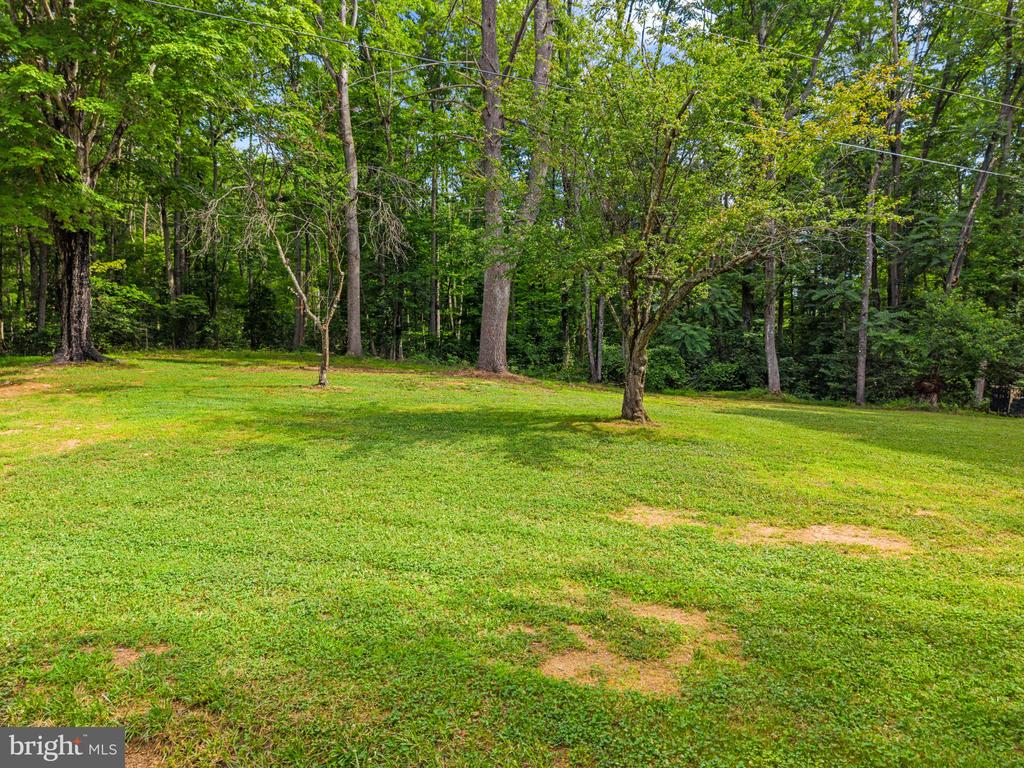 2303 W HOOVER RD, HAYWOOD, Virginia 22722, 2 Bedrooms Bedrooms, ,1 BathroomBathrooms,Residential,2303 W HOOVER RD,VAMA2002834 MLS # VAMA2002834