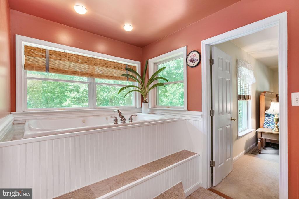 203 ROCK MILLS RD, WOODVILLE, Virginia 22749, 4 Bedrooms Bedrooms, ,3 BathroomsBathrooms,Residential,203 ROCK MILLS RD,VARP2002726 MLS # VARP2002726