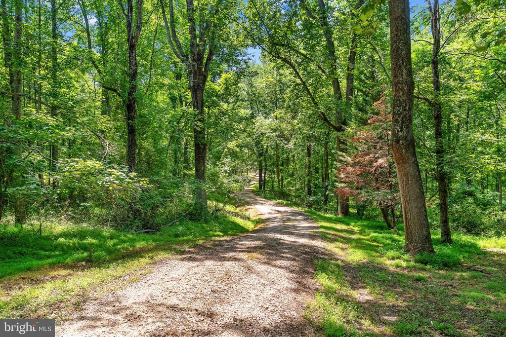 203 ROCK MILLS RD, WOODVILLE, Virginia 22749, 4 Bedrooms Bedrooms, ,3 BathroomsBathrooms,Residential,203 ROCK MILLS RD,VARP2002726 MLS # VARP2002726