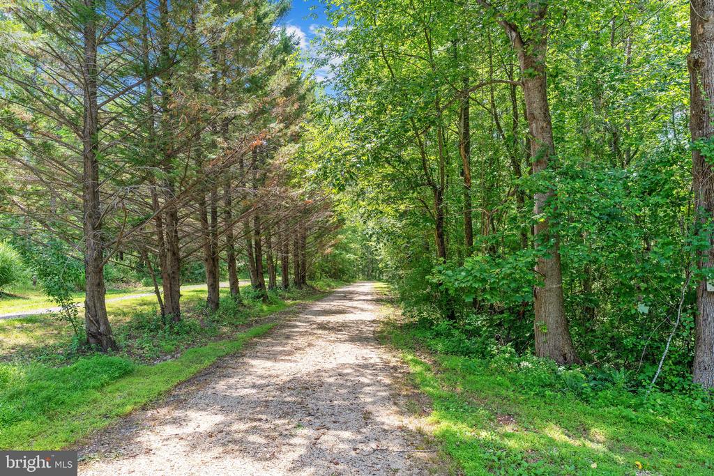 203 ROCK MILLS RD, WOODVILLE, Virginia 22749, 4 Bedrooms Bedrooms, ,3 BathroomsBathrooms,Residential,203 ROCK MILLS RD,VARP2002726 MLS # VARP2002726