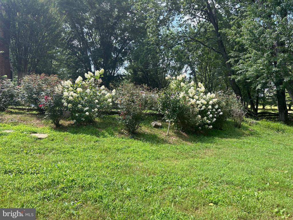 13078 BREEZY KNOLL LN, AMISSVILLE, Virginia 20106, 4 Bedrooms Bedrooms, ,2 BathroomsBathrooms,Residential,13078 BREEZY KNOLL LN,VACU2014220 MLS # VACU2014220