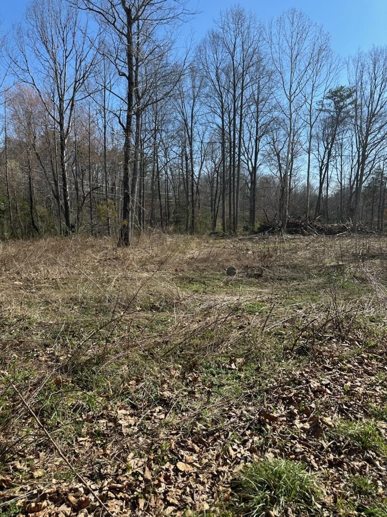TBD 0 CRIMORA MINE RD, CRIMORA, Virginia 24431, ,Land,TBD 0 CRIMORA MINE RD,674770 MLS # 674770