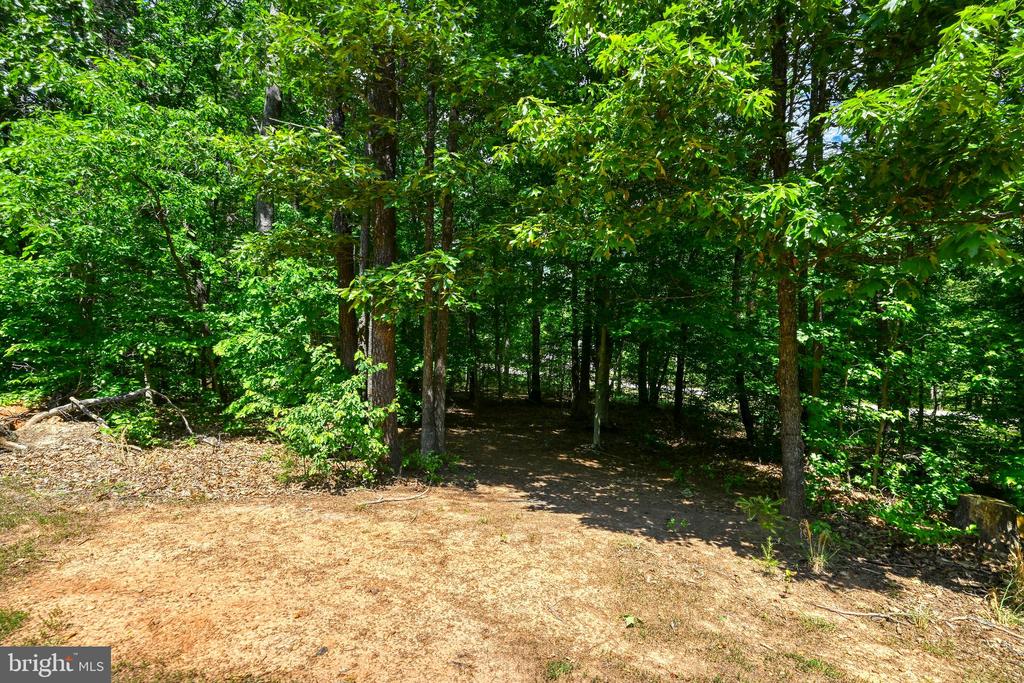 1176 SIGNBOARD RD, BUMPASS, Virginia 23024, 3 Bedrooms Bedrooms, ,2 BathroomsBathrooms,Residential,1176 SIGNBOARD RD,VALA2009856 MLS # VALA2009856
