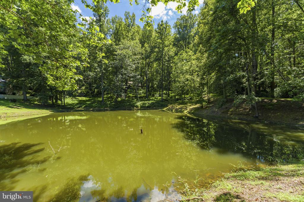 4639 HOPEWELL RD, THE PLAINS, Virginia 20198, 1 Bedroom Bedrooms, ,2 BathroomsBathrooms,Residential,4639 HOPEWELL RD,VAFQ2022792 MLS # VAFQ2022792