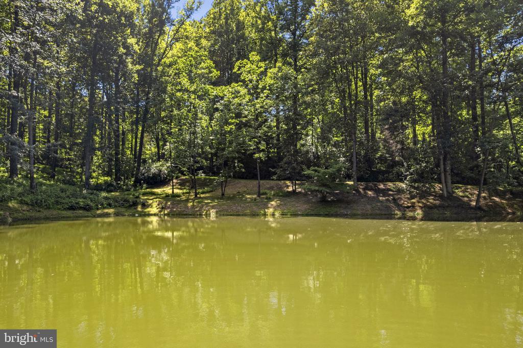 4639 HOPEWELL RD, THE PLAINS, Virginia 20198, 1 Bedroom Bedrooms, ,2 BathroomsBathrooms,Residential,4639 HOPEWELL RD,VAFQ2022792 MLS # VAFQ2022792