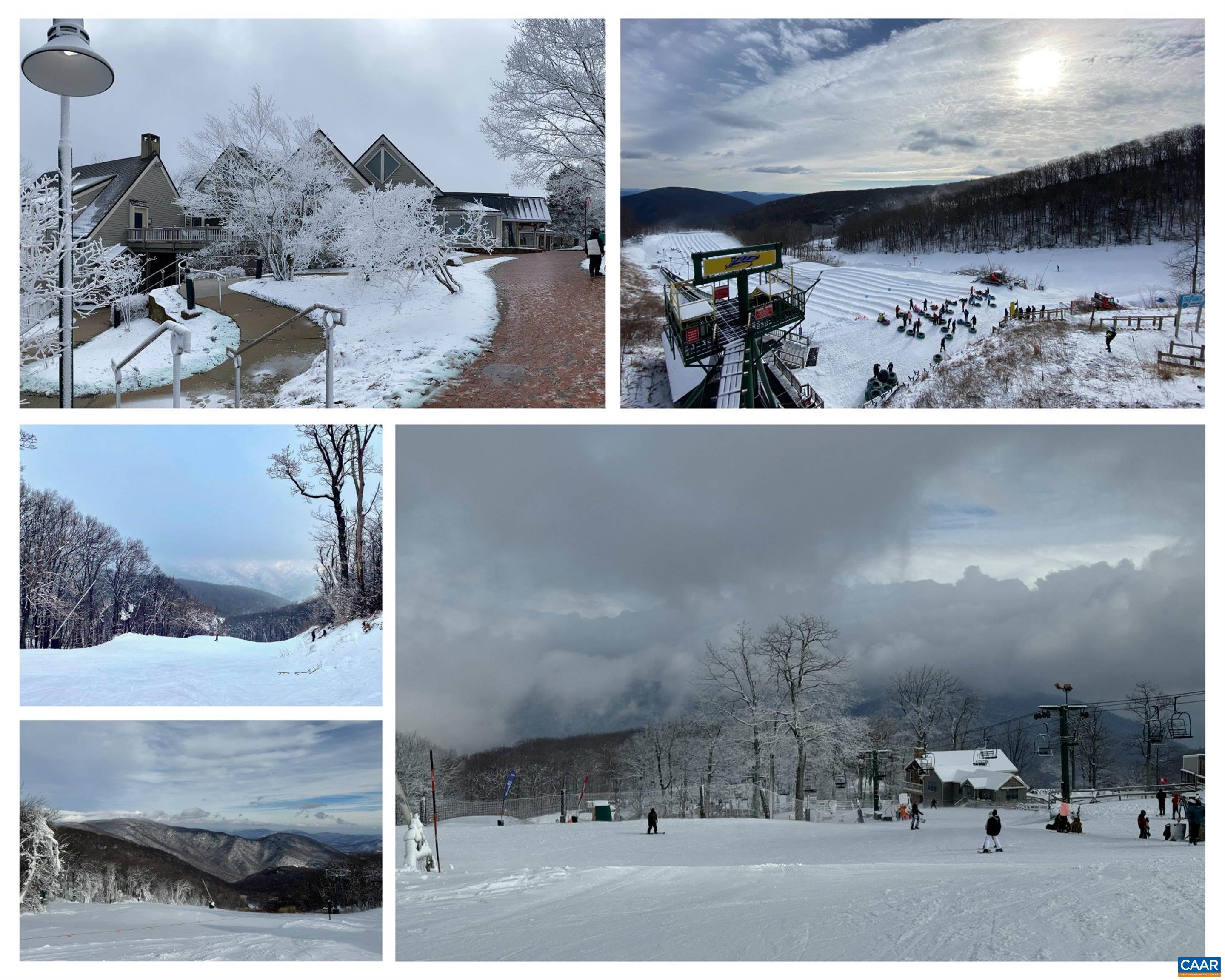 11 RAVENS ROOST CT, WINTERGREEN RESORT, Virginia 22967, 5 Bedrooms Bedrooms, ,3 BathroomsBathrooms,Residential,11 RAVENS ROOST CT,678929 MLS # 678929 11 RAVENS ROOST CT, WINTERGREEN RESORT, Virginia 22967, 5 Bedrooms Bedrooms, ,3 BathroomsBathrooms,Residential,11 RAVENS ROOST CT,678929 MLS # 678929