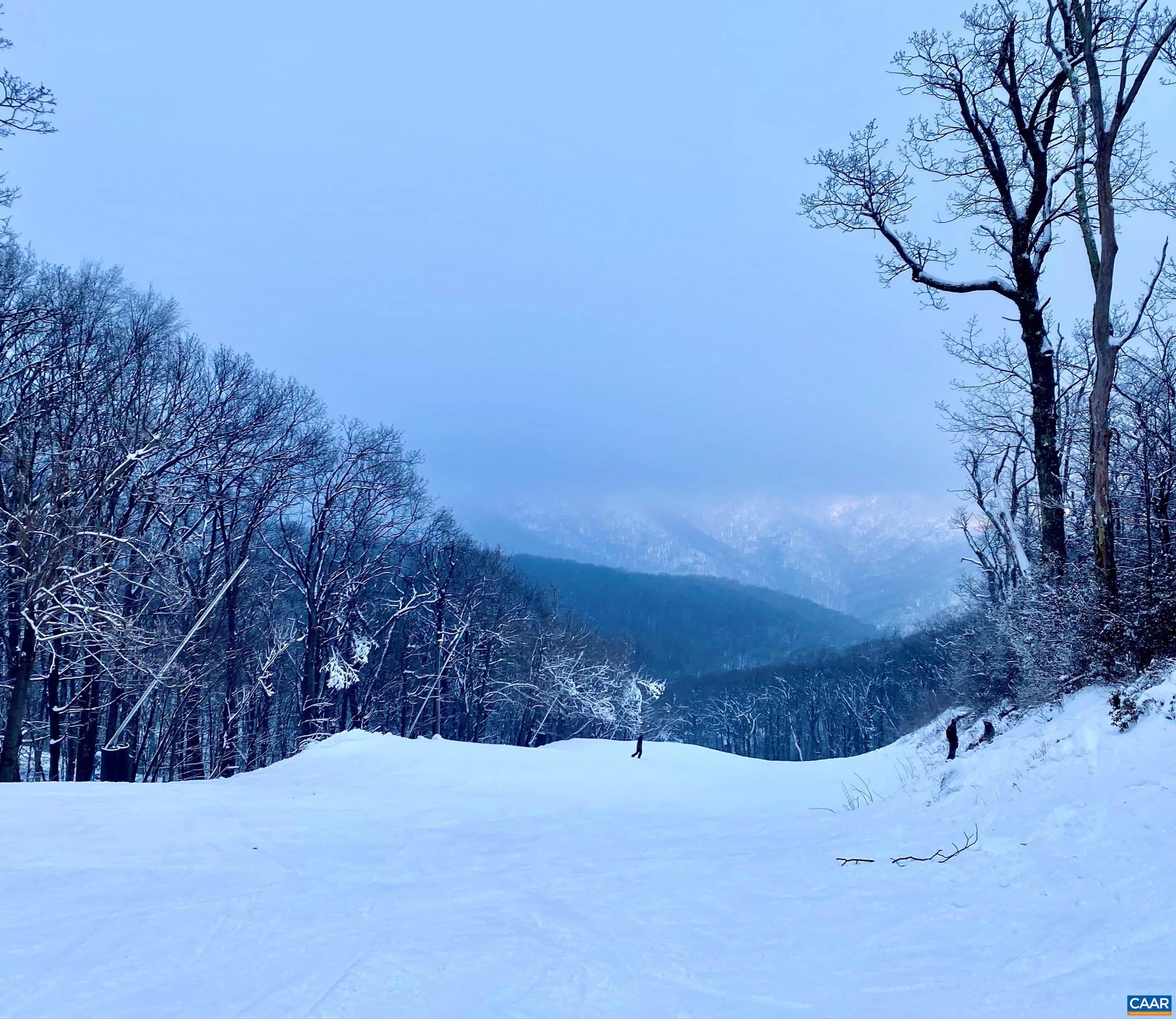 11 RAVENS ROOST CT, WINTERGREEN RESORT, Virginia 22967, 5 Bedrooms Bedrooms, ,3 BathroomsBathrooms,Residential,11 RAVENS ROOST CT,678929 MLS # 678929 11 RAVENS ROOST CT, WINTERGREEN RESORT, Virginia 22967, 5 Bedrooms Bedrooms, ,3 BathroomsBathrooms,Residential,11 RAVENS ROOST CT,678929 MLS # 678929