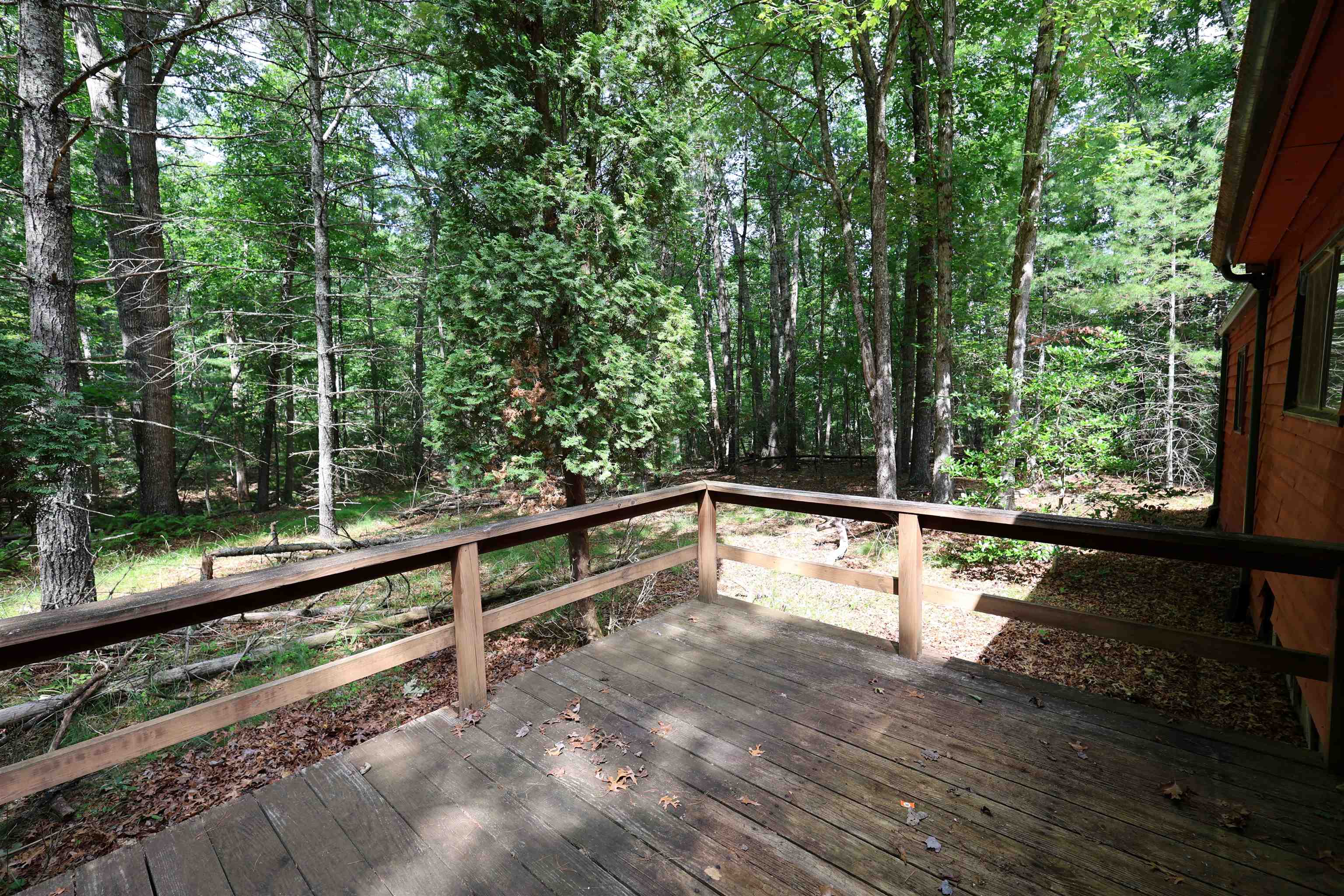 164 BUCKEYE LN, WEST AUGUSTA, Virginia 24485, 1 Bedroom Bedrooms, ,1 BathroomBathrooms,Residential,164 BUCKEYE LN,678949 MLS # 678949