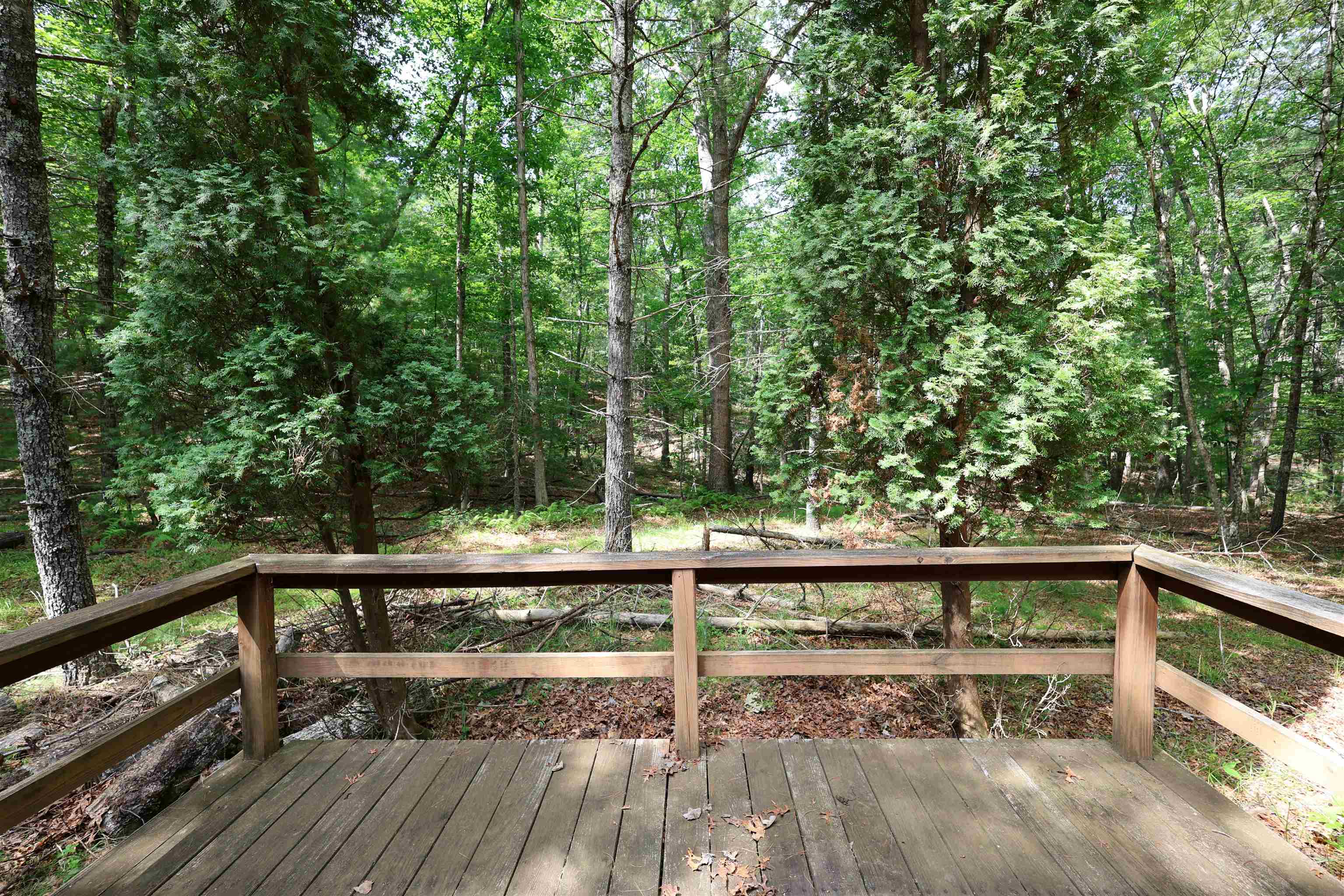 164 BUCKEYE LN, WEST AUGUSTA, Virginia 24485, 1 Bedroom Bedrooms, ,1 BathroomBathrooms,Residential,164 BUCKEYE LN,678949 MLS # 678949