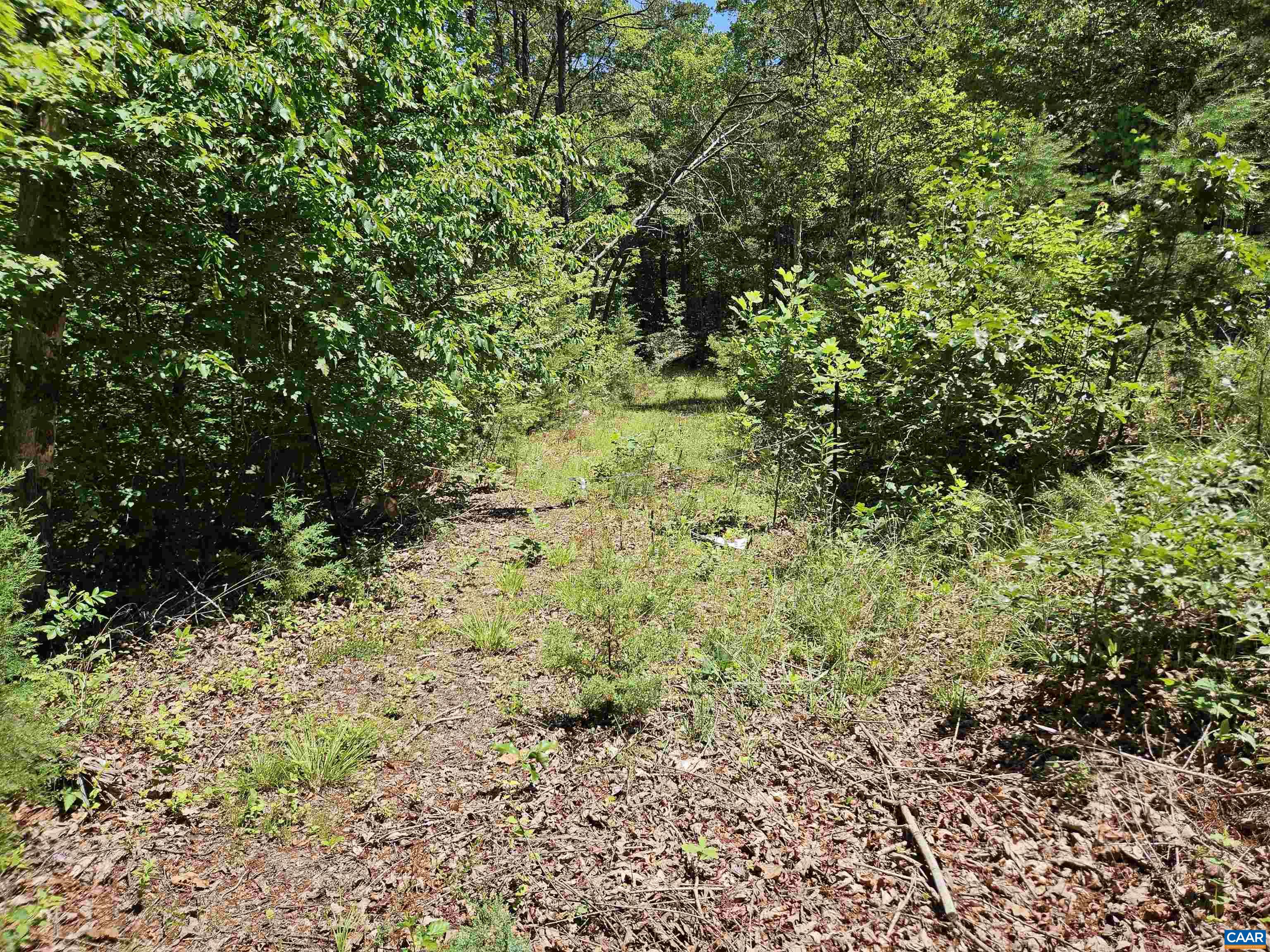 MANTEO RD, BUCKINGHAM, Virginia 23921, ,Land,MANTEO RD,678969 MLS # 678969 MANTEO RD, BUCKINGHAM, Virginia 23921, ,Land,MANTEO RD,678969 MLS # 678969