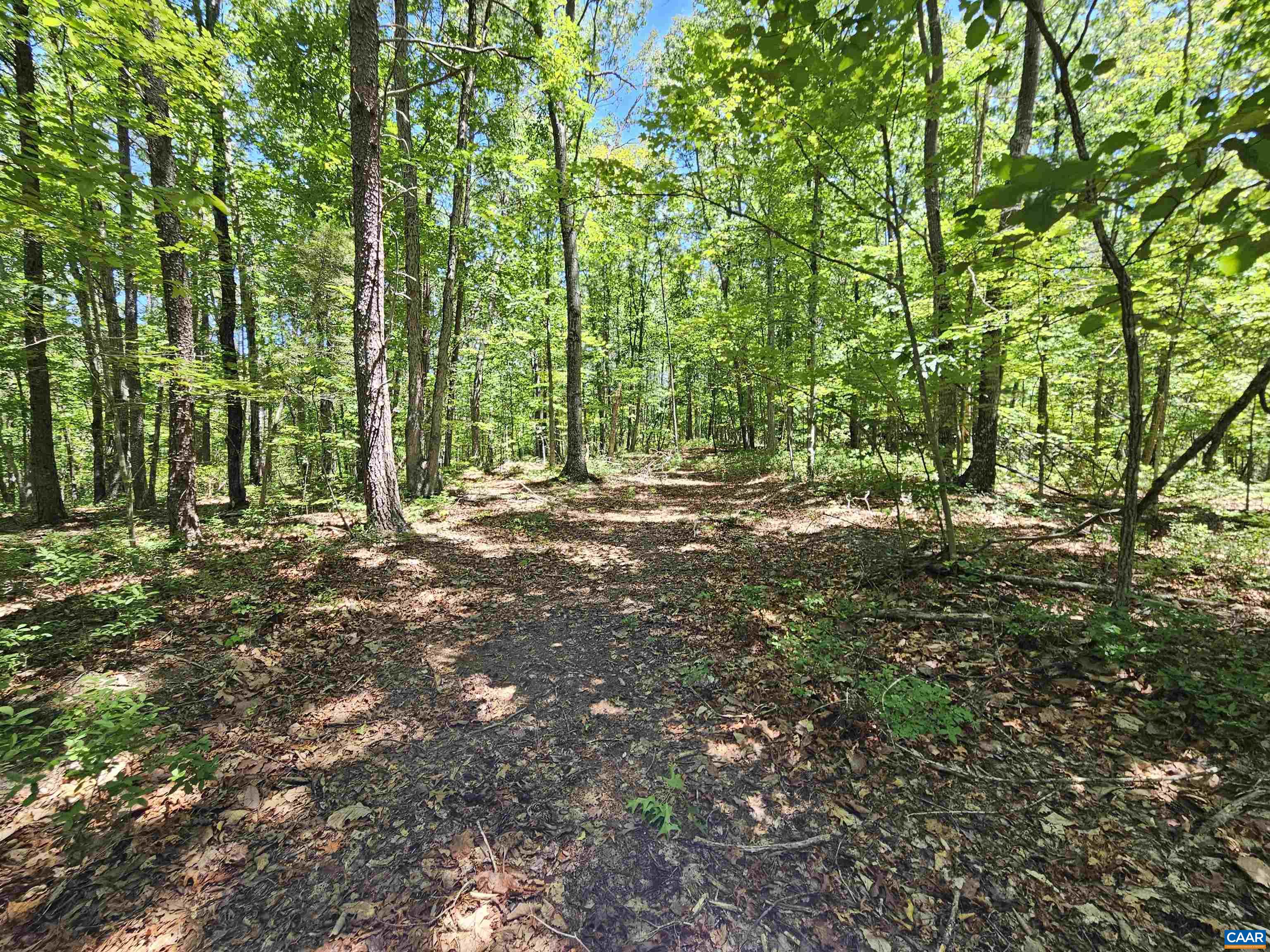 MANTEO RD, BUCKINGHAM, Virginia 23921, ,Land,MANTEO RD,678969 MLS # 678969 MANTEO RD, BUCKINGHAM, Virginia 23921, ,Land,MANTEO RD,678969 MLS # 678969