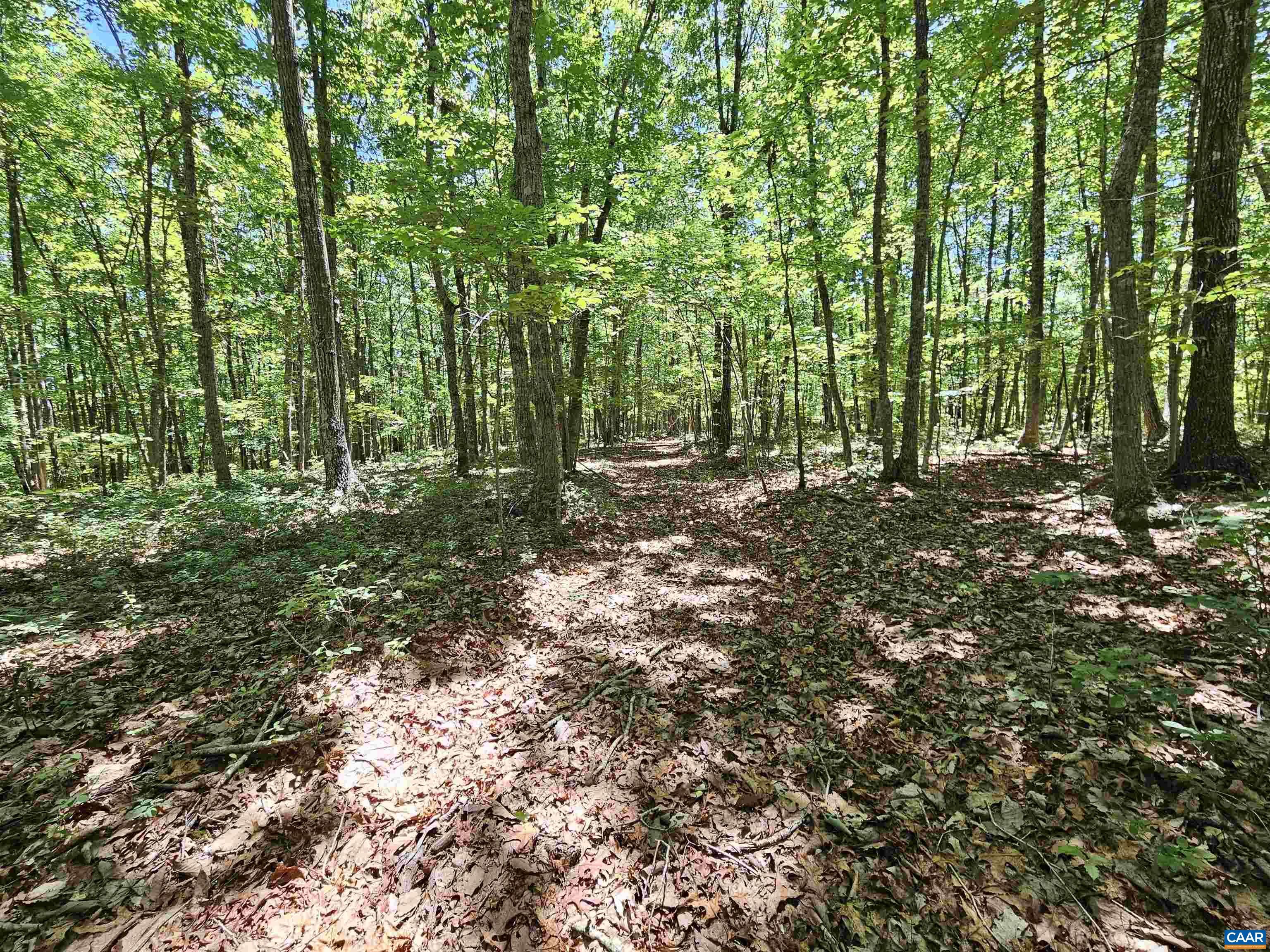 MANTEO RD, BUCKINGHAM, Virginia 23921, ,Land,MANTEO RD,678969 MLS # 678969 MANTEO RD, BUCKINGHAM, Virginia 23921, ,Land,MANTEO RD,678969 MLS # 678969