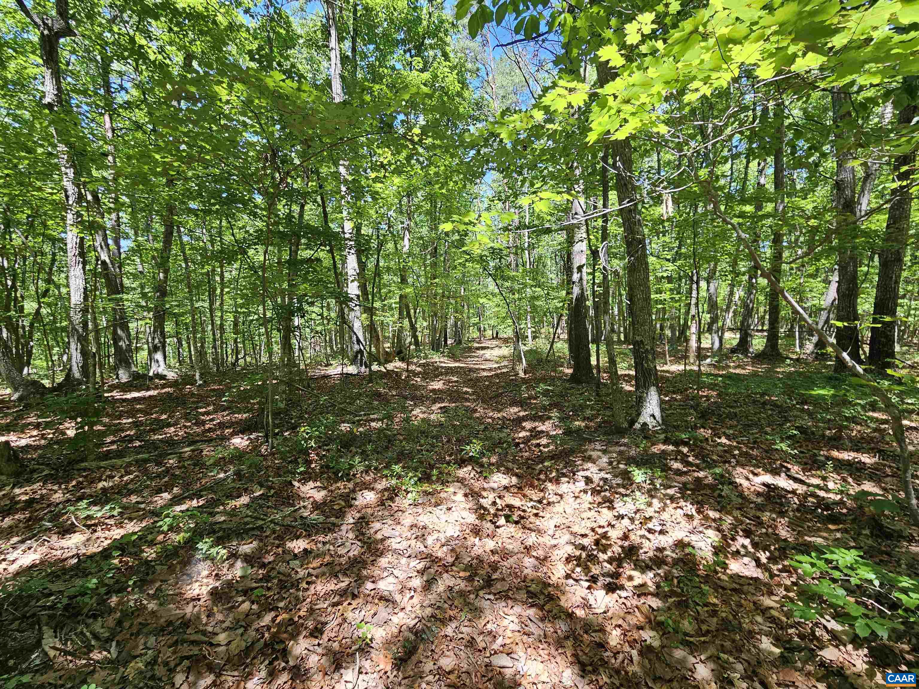 MANTEO RD, BUCKINGHAM, Virginia 23921, ,Land,MANTEO RD,678969 MLS # 678969 MANTEO RD, BUCKINGHAM, Virginia 23921, ,Land,MANTEO RD,678969 MLS # 678969