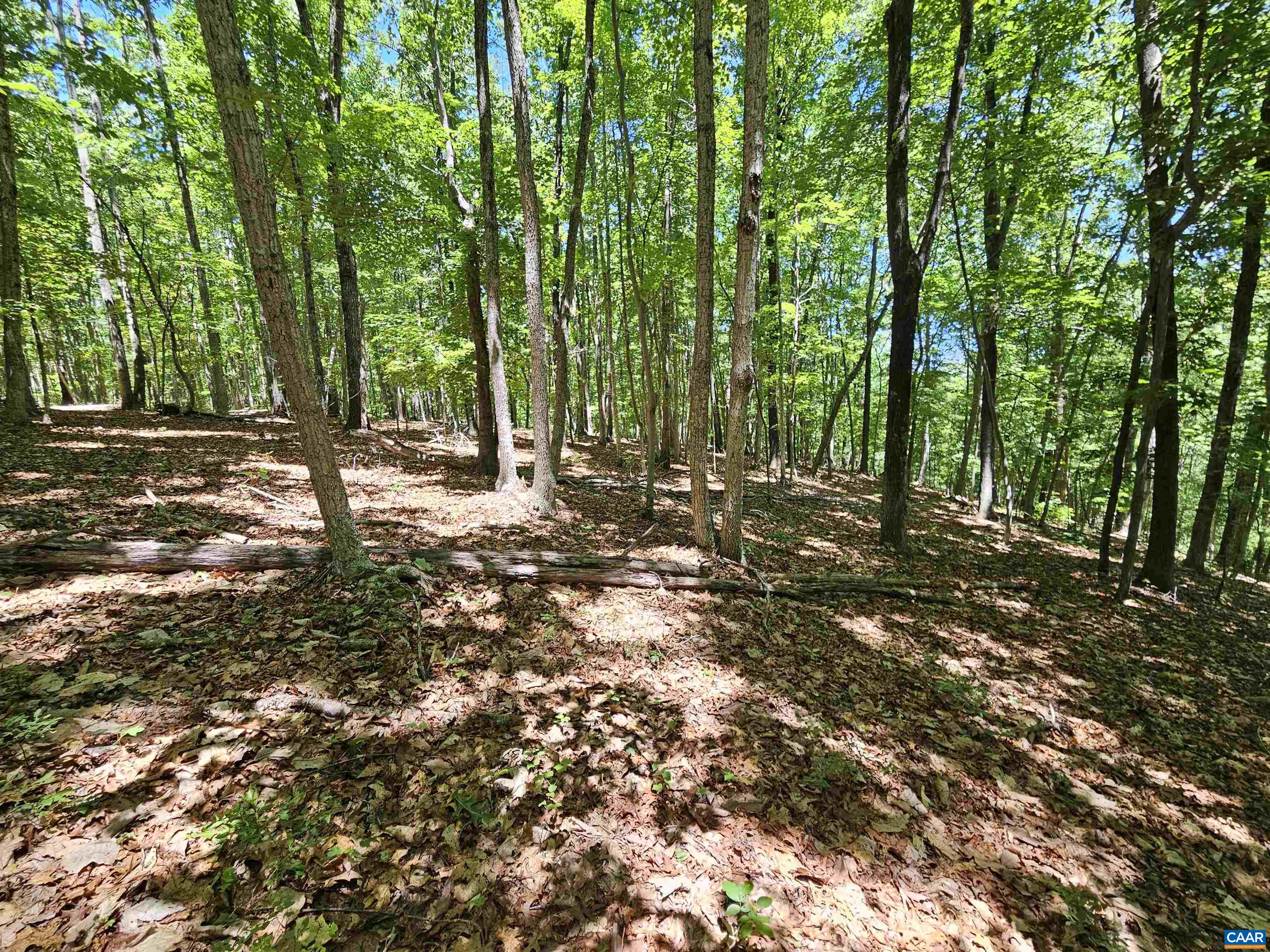 MANTEO RD, BUCKINGHAM, Virginia 23921, ,Land,MANTEO RD,678969 MLS # 678969 MANTEO RD, BUCKINGHAM, Virginia 23921, ,Land,MANTEO RD,678969 MLS # 678969