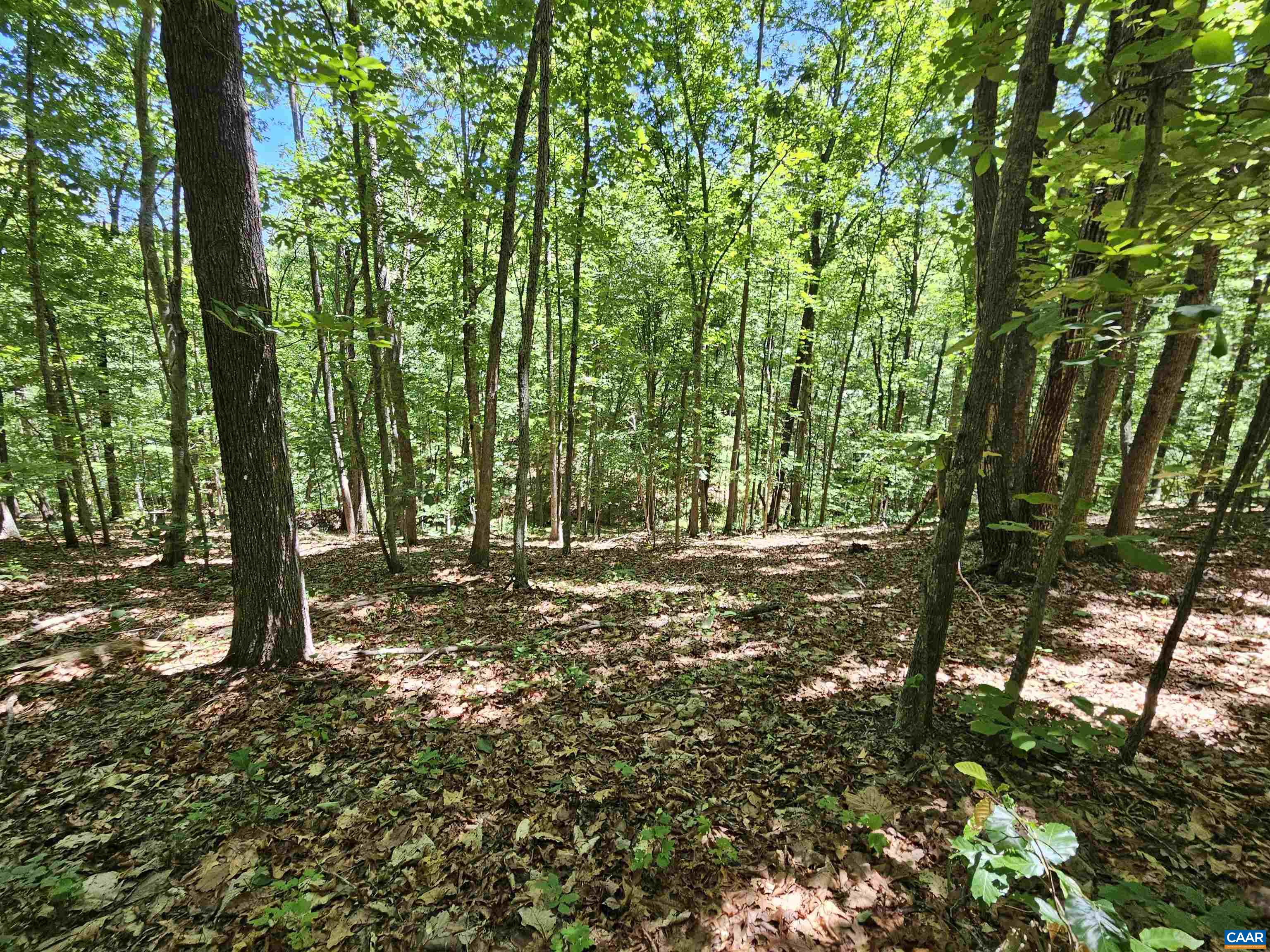 MANTEO RD, BUCKINGHAM, Virginia 23921, ,Land,MANTEO RD,678969 MLS # 678969 MANTEO RD, BUCKINGHAM, Virginia 23921, ,Land,MANTEO RD,678969 MLS # 678969