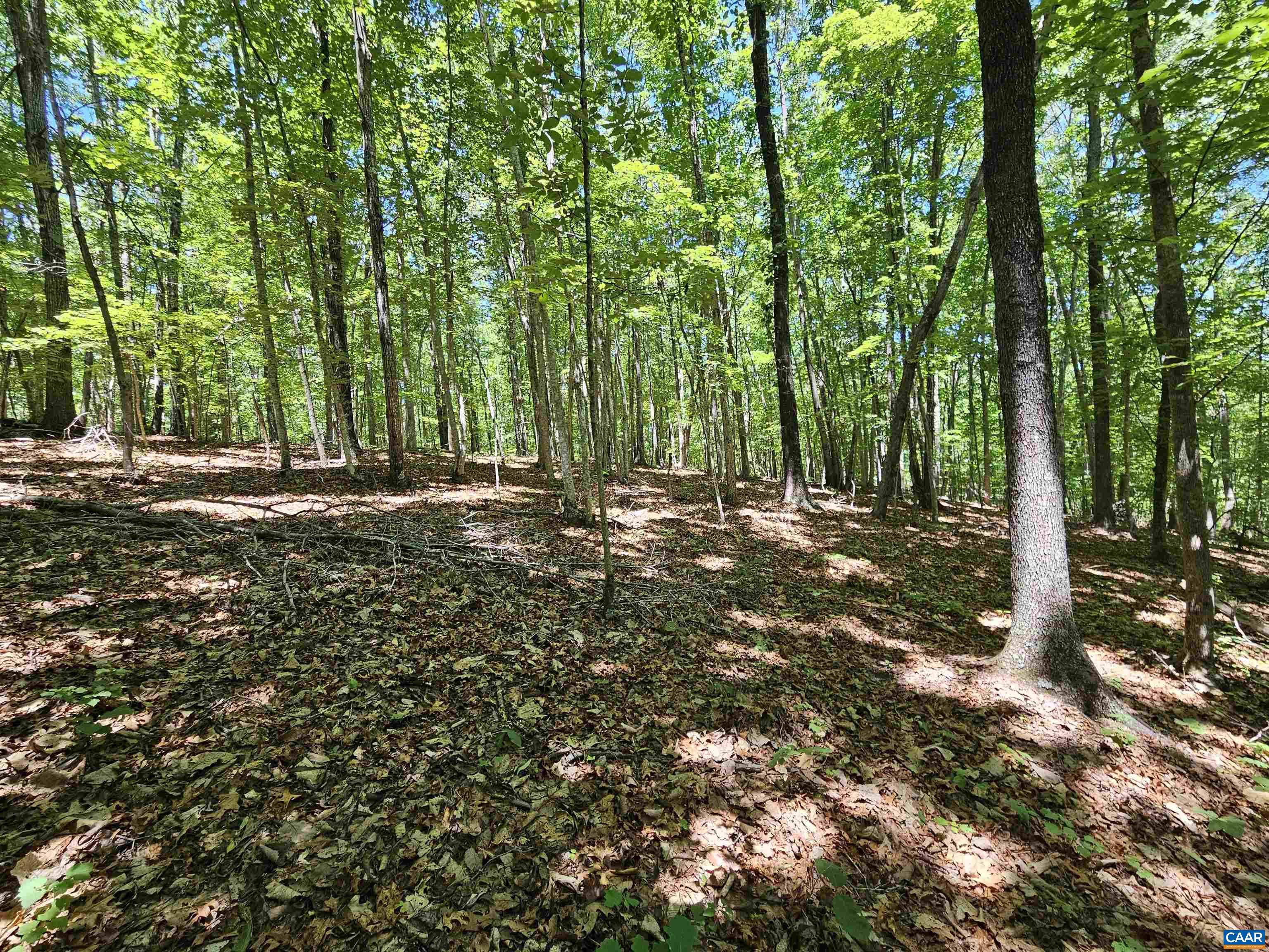 MANTEO RD, BUCKINGHAM, Virginia 23921, ,Land,MANTEO RD,678969 MLS # 678969 MANTEO RD, BUCKINGHAM, Virginia 23921, ,Land,MANTEO RD,678969 MLS # 678969