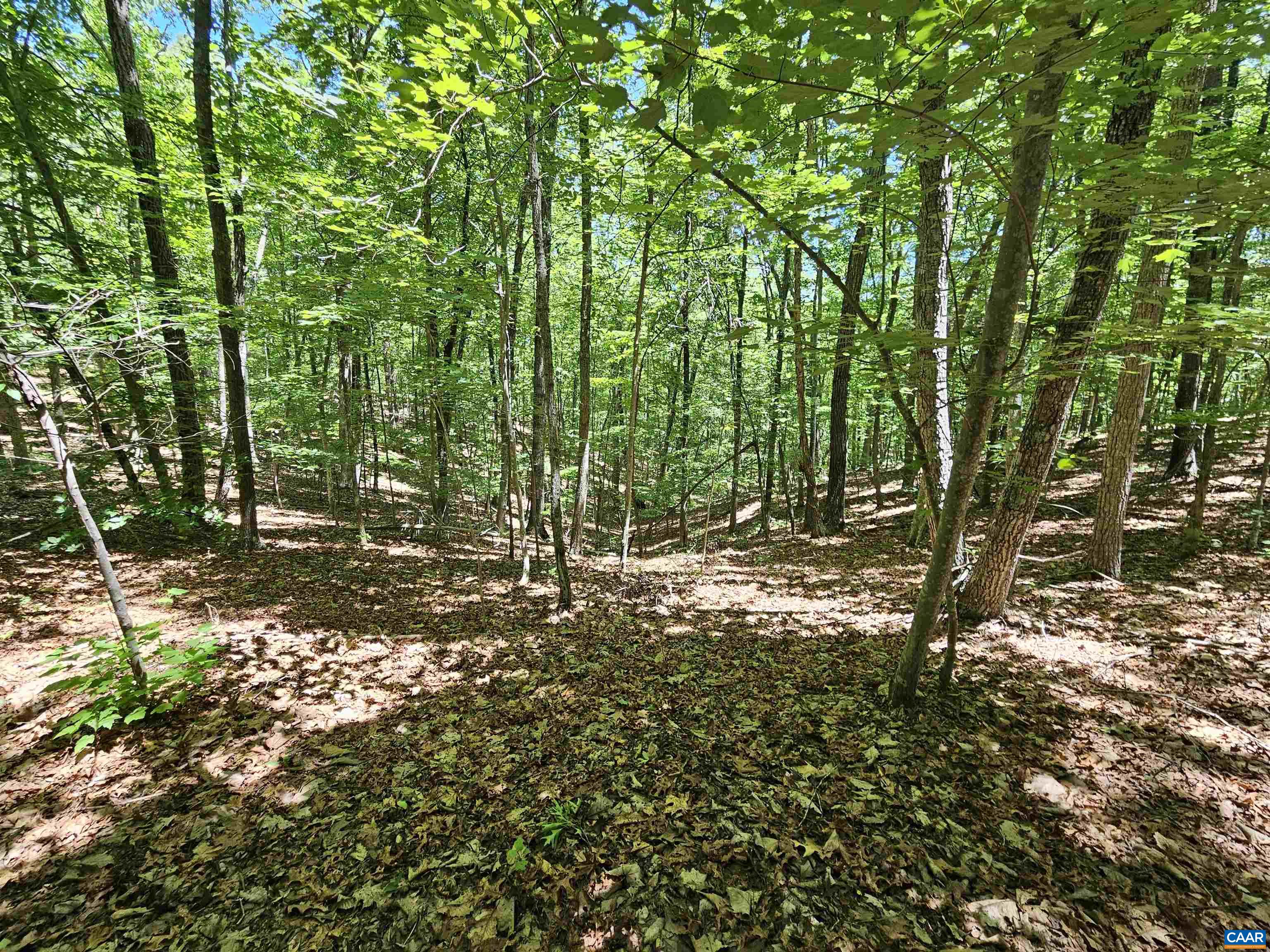 MANTEO RD, BUCKINGHAM, Virginia 23921, ,Land,MANTEO RD,678969 MLS # 678969 MANTEO RD, BUCKINGHAM, Virginia 23921, ,Land,MANTEO RD,678969 MLS # 678969