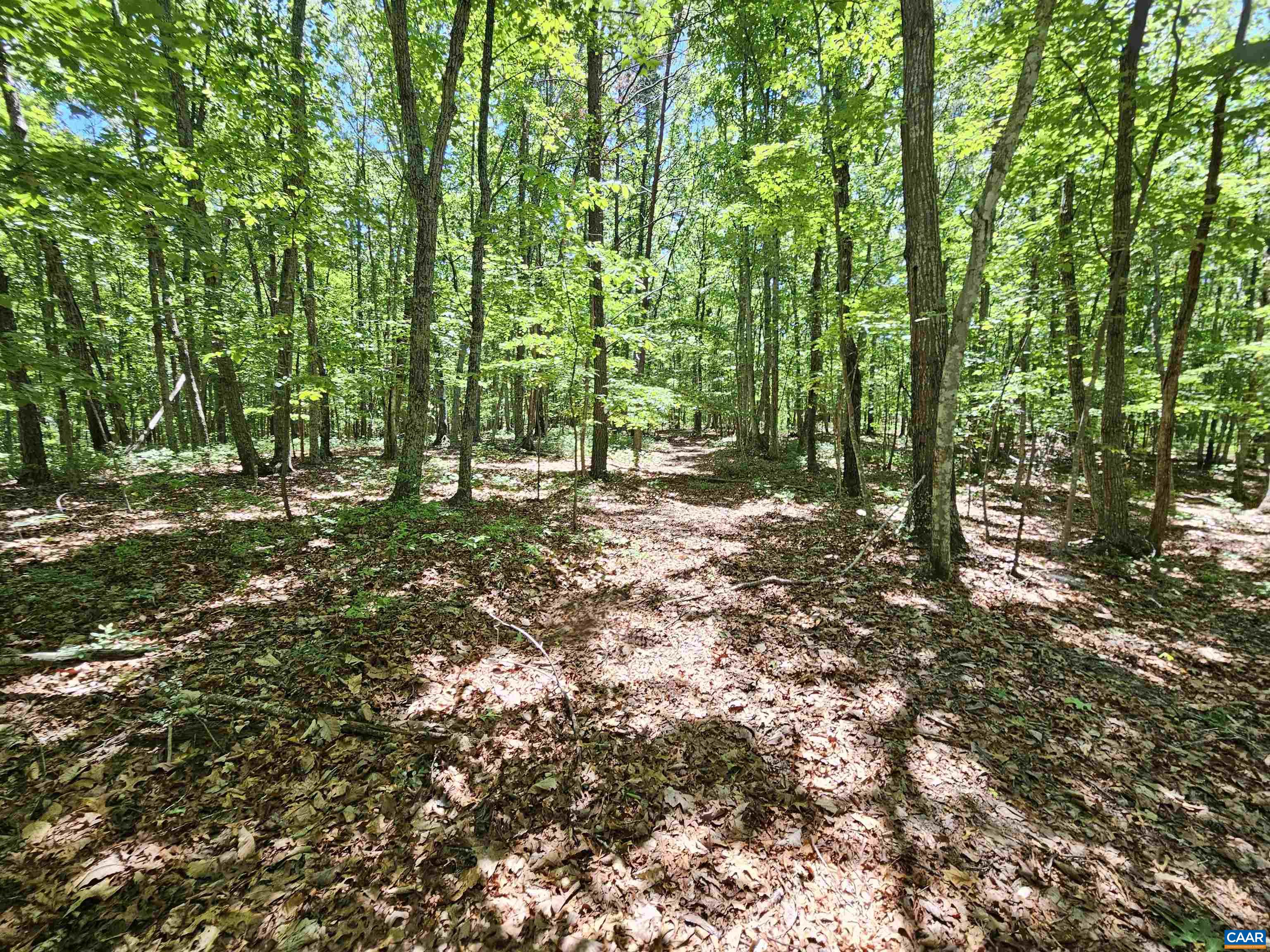 MANTEO RD, BUCKINGHAM, Virginia 23921, ,Land,MANTEO RD,678969 MLS # 678969 MANTEO RD, BUCKINGHAM, Virginia 23921, ,Land,MANTEO RD,678969 MLS # 678969