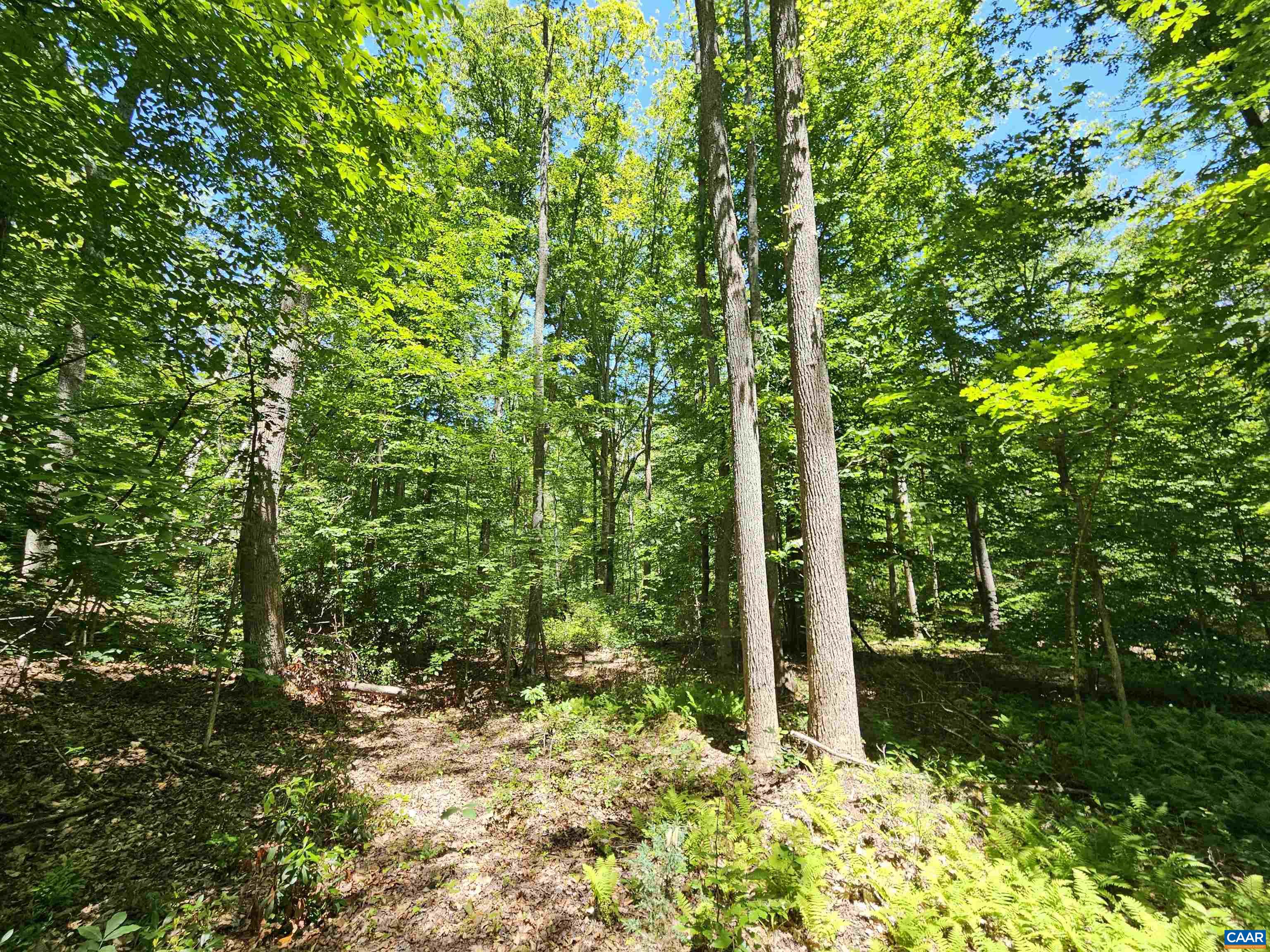 MANTEO RD, BUCKINGHAM, Virginia 23921, ,Land,MANTEO RD,678969 MLS # 678969 MANTEO RD, BUCKINGHAM, Virginia 23921, ,Land,MANTEO RD,678969 MLS # 678969