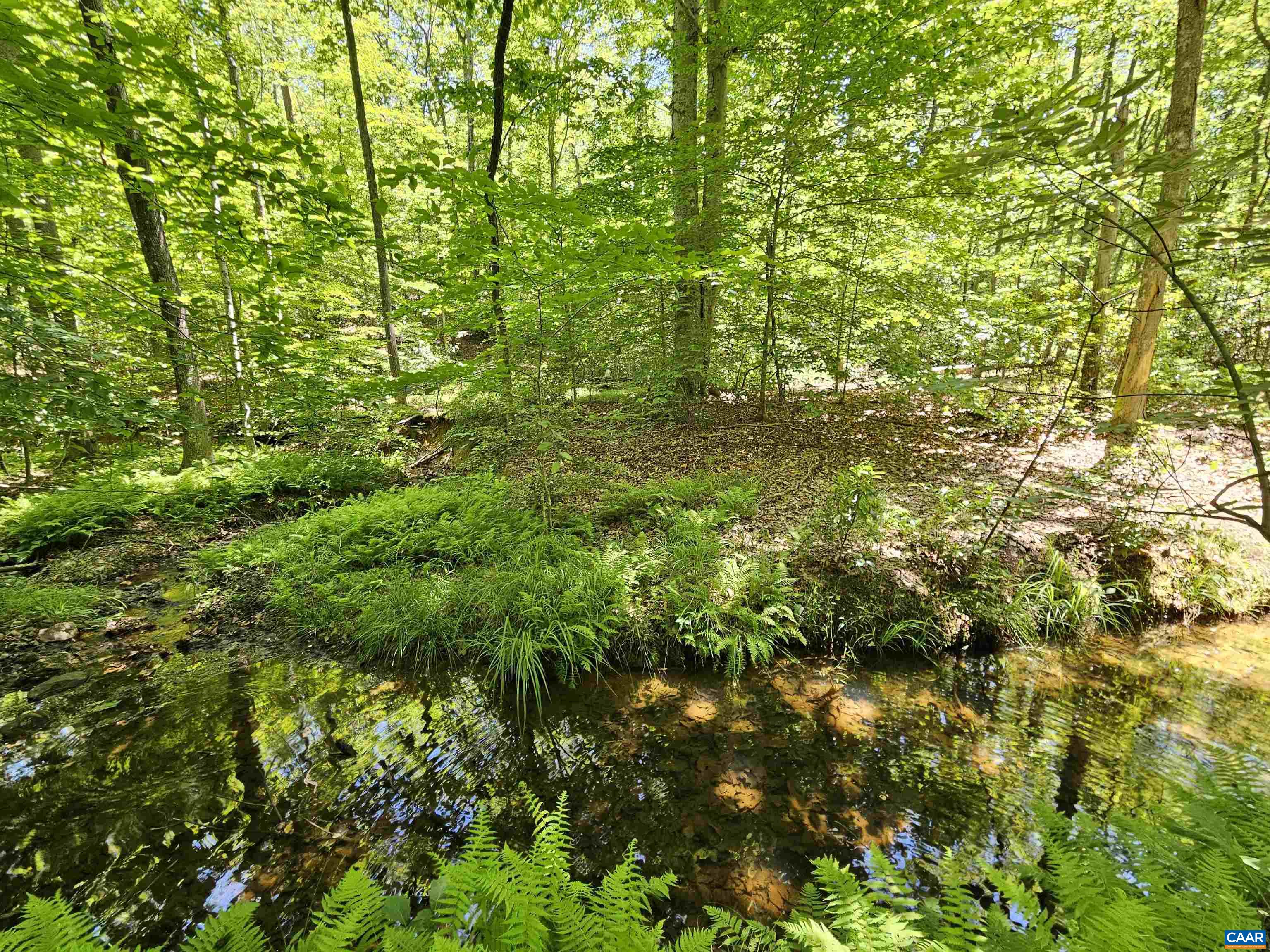 MANTEO RD, BUCKINGHAM, Virginia 23921, ,Land,MANTEO RD,678969 MLS # 678969 MANTEO RD, BUCKINGHAM, Virginia 23921, ,Land,MANTEO RD,678969 MLS # 678969