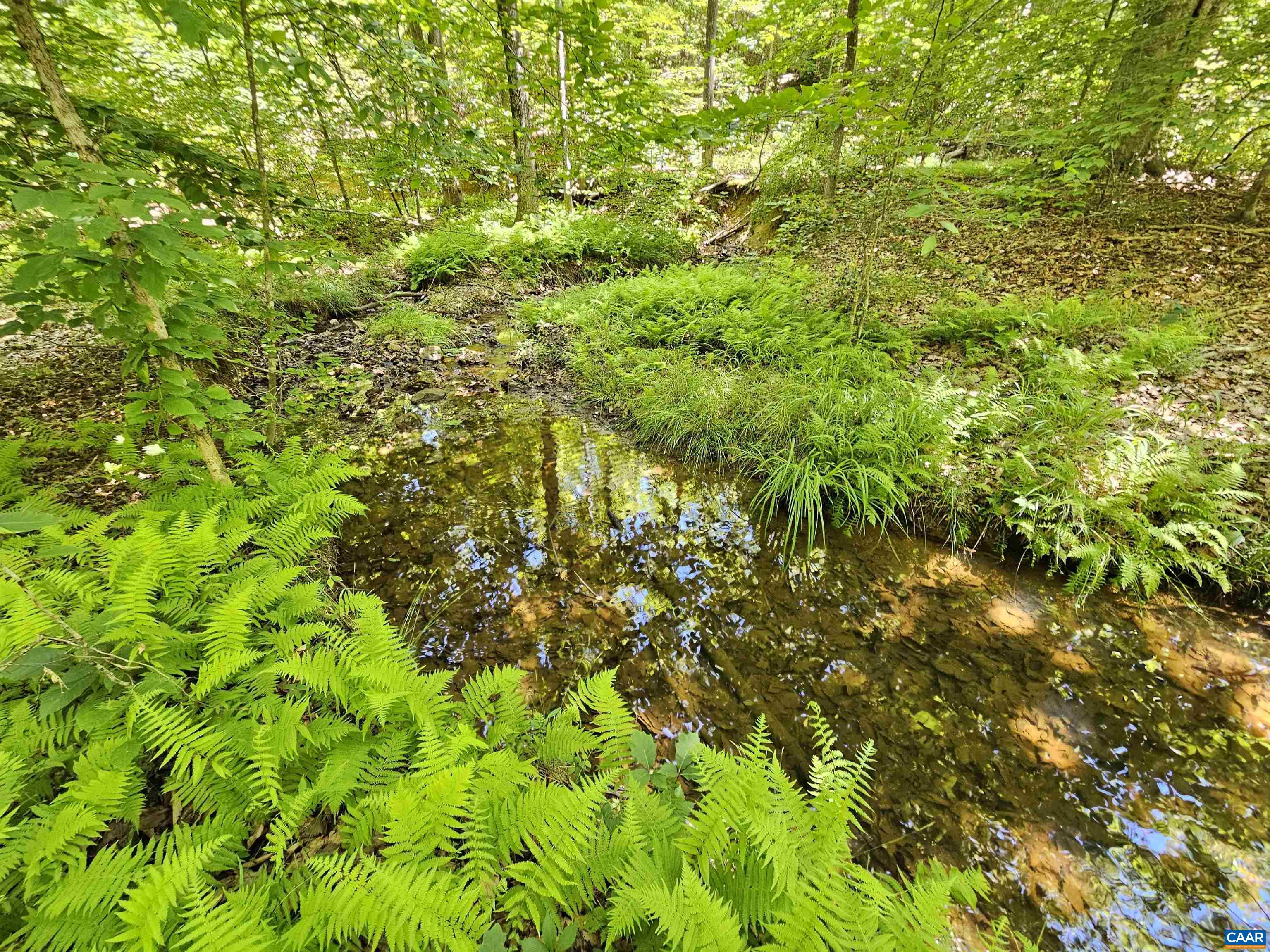 MANTEO RD, BUCKINGHAM, Virginia 23921, ,Land,MANTEO RD,678969 MLS # 678969 MANTEO RD, BUCKINGHAM, Virginia 23921, ,Land,MANTEO RD,678969 MLS # 678969