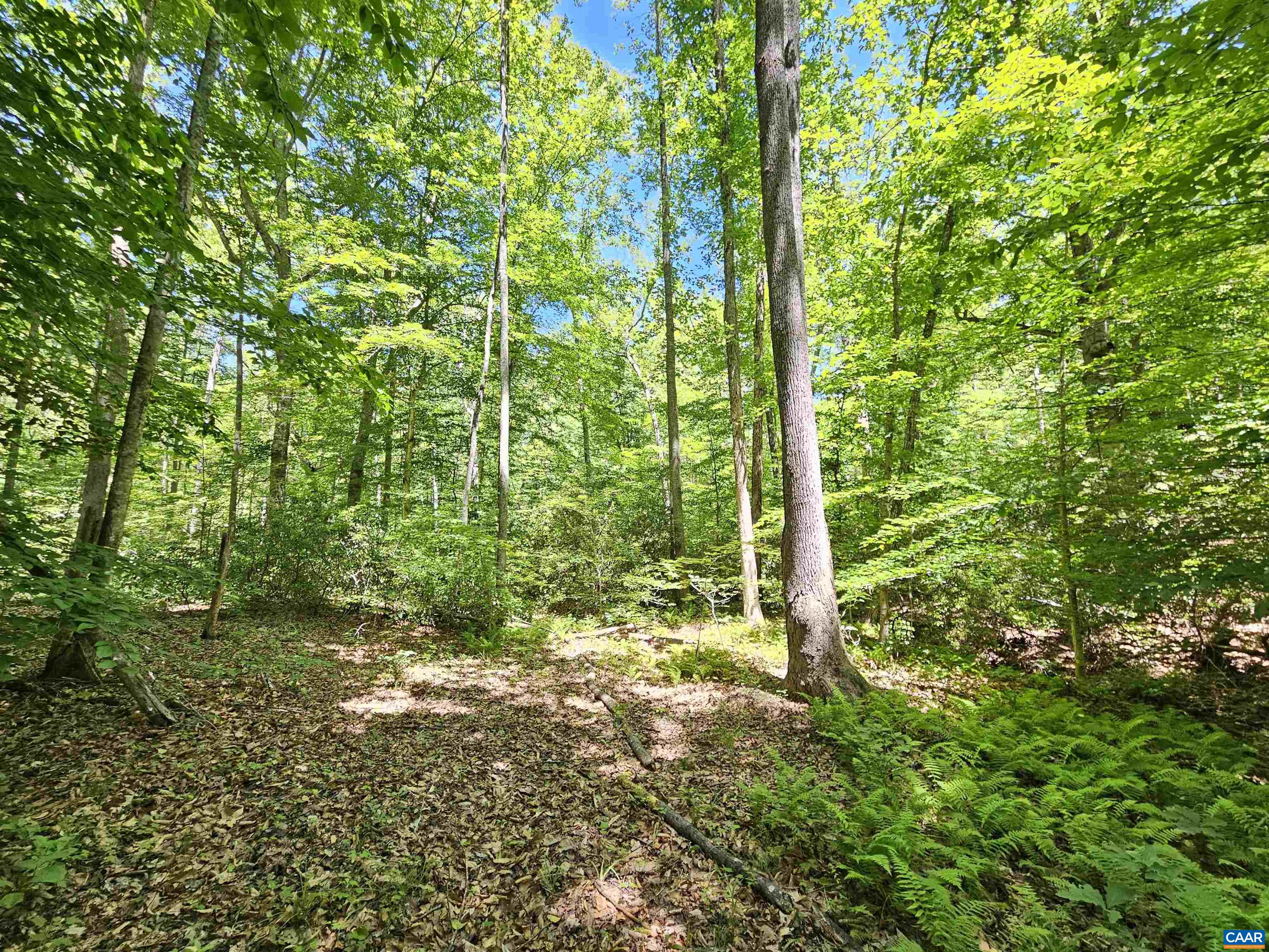 MANTEO RD, BUCKINGHAM, Virginia 23921, ,Land,MANTEO RD,678969 MLS # 678969 MANTEO RD, BUCKINGHAM, Virginia 23921, ,Land,MANTEO RD,678969 MLS # 678969