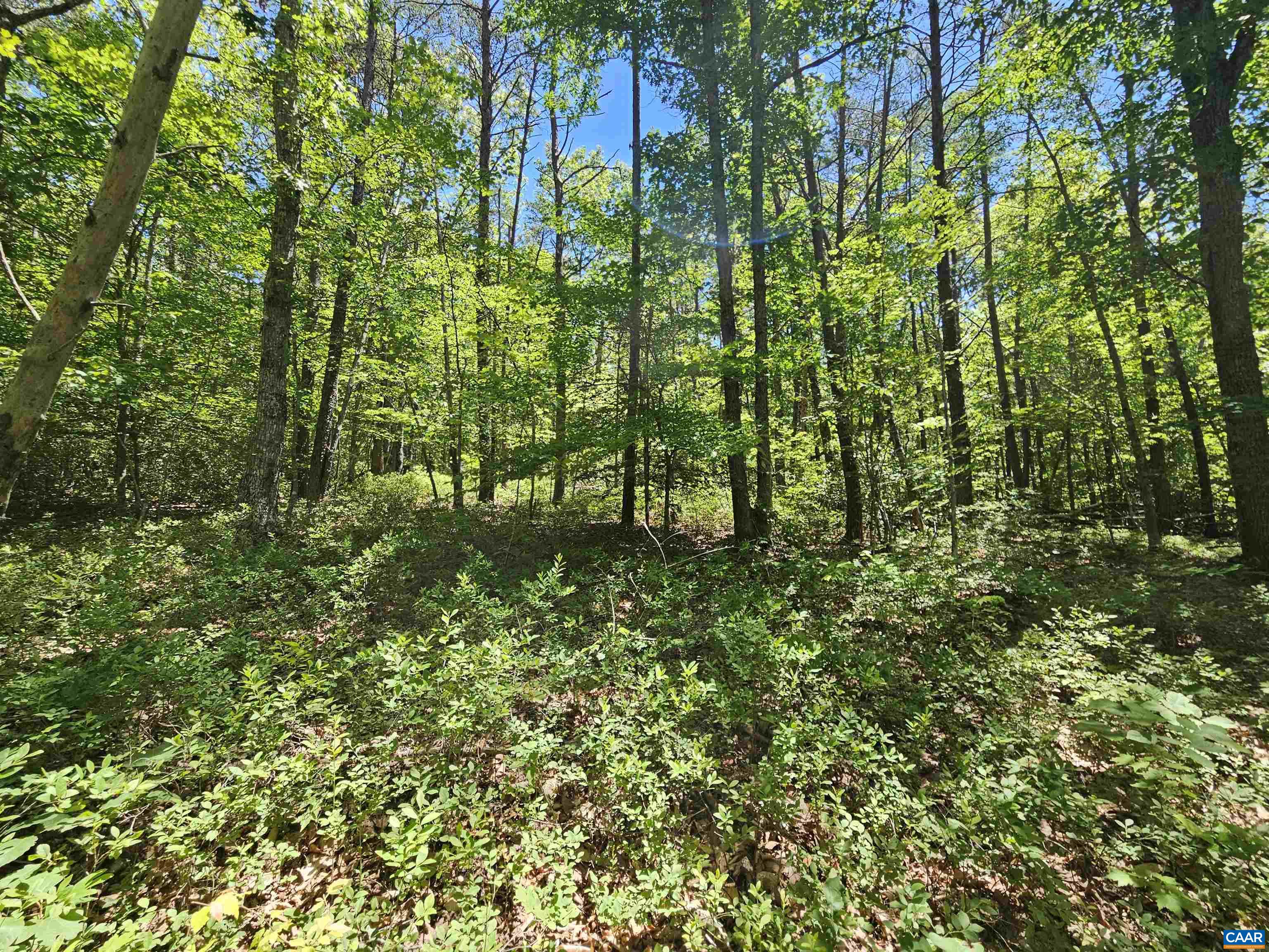MANTEO RD, BUCKINGHAM, Virginia 23921, ,Land,MANTEO RD,678969 MLS # 678969 MANTEO RD, BUCKINGHAM, Virginia 23921, ,Land,MANTEO RD,678969 MLS # 678969