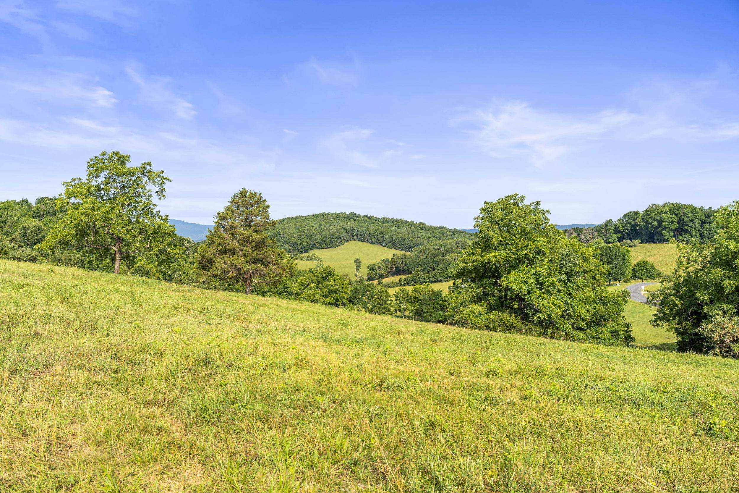 Lot 22 KOOGLER TRL, RAPHINE, Virginia 24472, ,Land,Lot 22 KOOGLER TRL,678975 MLS # 678975 Lot 22 KOOGLER TRL, RAPHINE, Virginia 24472, ,Land,Lot 22 KOOGLER TRL,678975 MLS # 678975
