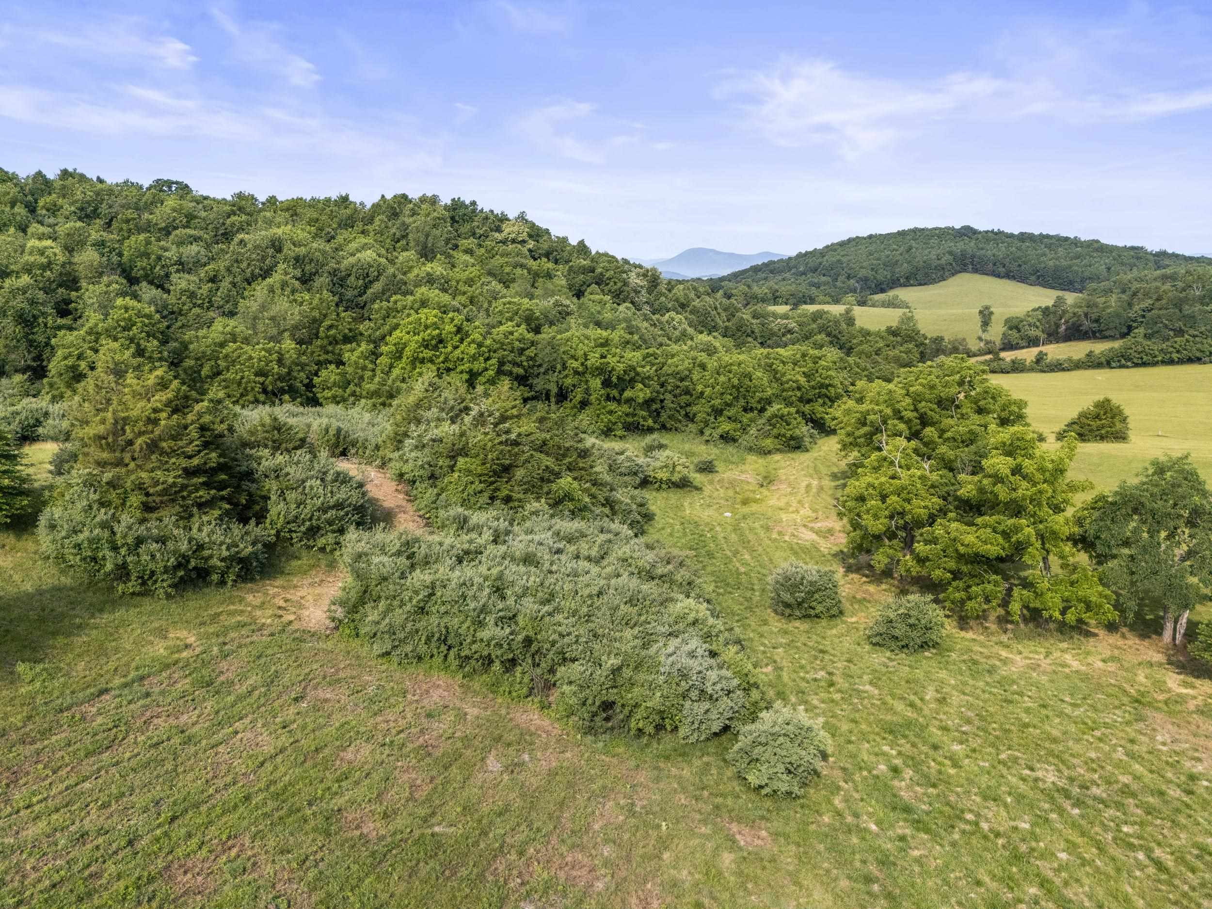 Lot 22 KOOGLER TRL, RAPHINE, Virginia 24472, ,Land,Lot 22 KOOGLER TRL,678975 MLS # 678975 Lot 22 KOOGLER TRL, RAPHINE, Virginia 24472, ,Land,Lot 22 KOOGLER TRL,678975 MLS # 678975