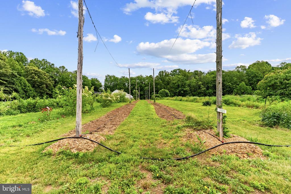 9269 REDEMPTION WAY, MIDLAND, Virginia 22728, ,3 BathroomsBathrooms,Residential,9269 REDEMPTION WAY,VAFQ2022826 MLS # VAFQ2022826