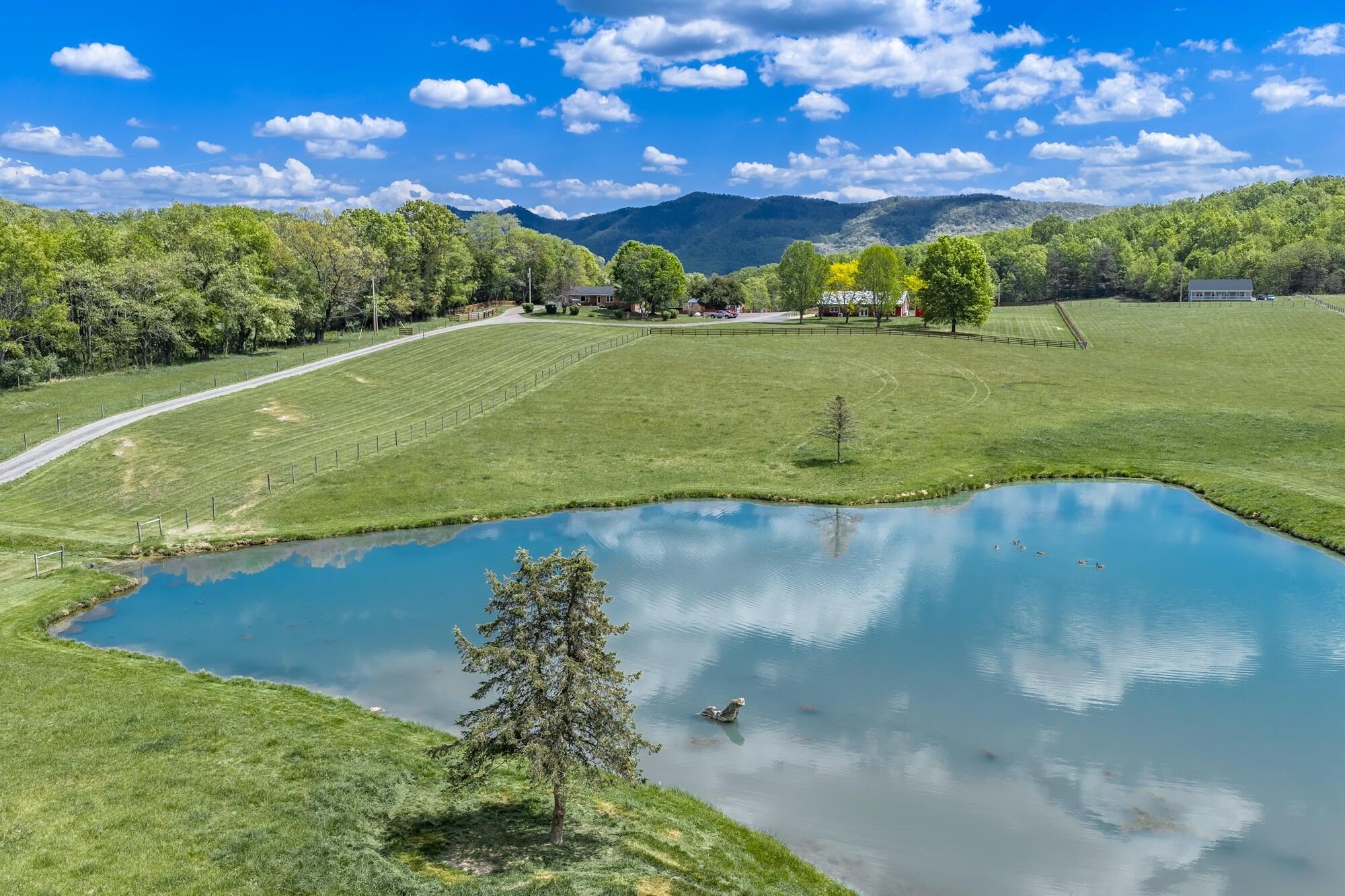 Picturesque pond