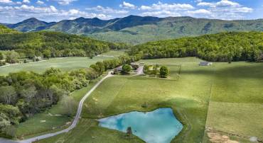 A well-established, income-producing property with room to grow.
