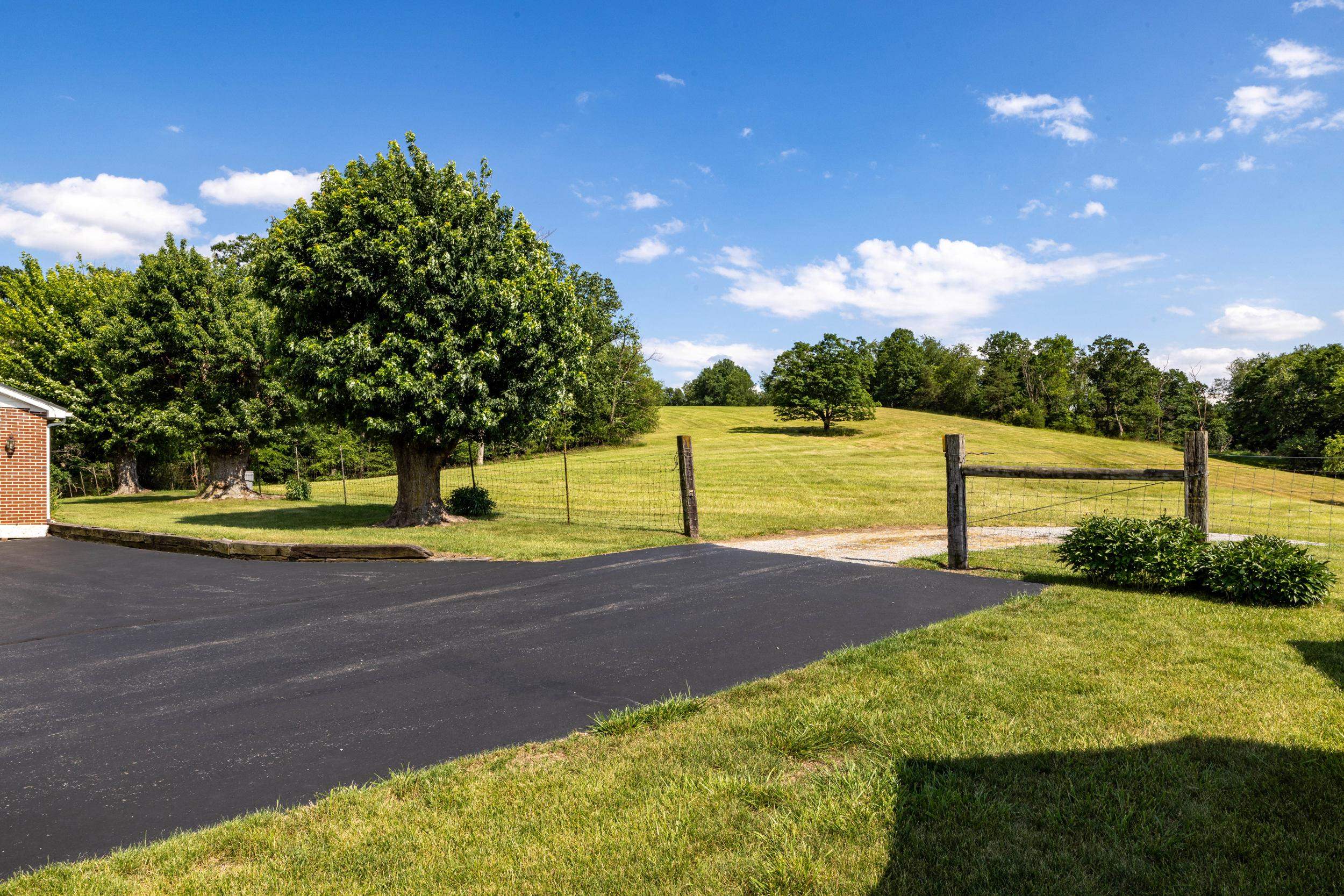 12199 HOLLOW RD, FULKS RUN, Virginia 22830, 3 Bedrooms Bedrooms, ,1 BathroomBathrooms,Residential,12199 HOLLOW RD,678960 MLS # 678960
